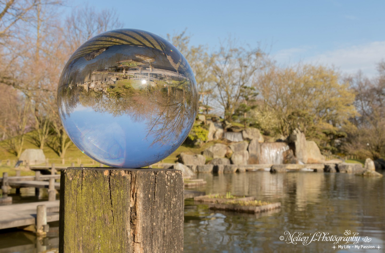 Canon EF 24-70mm F2.8L II USM sample photo. Spring in our japanese garden photography