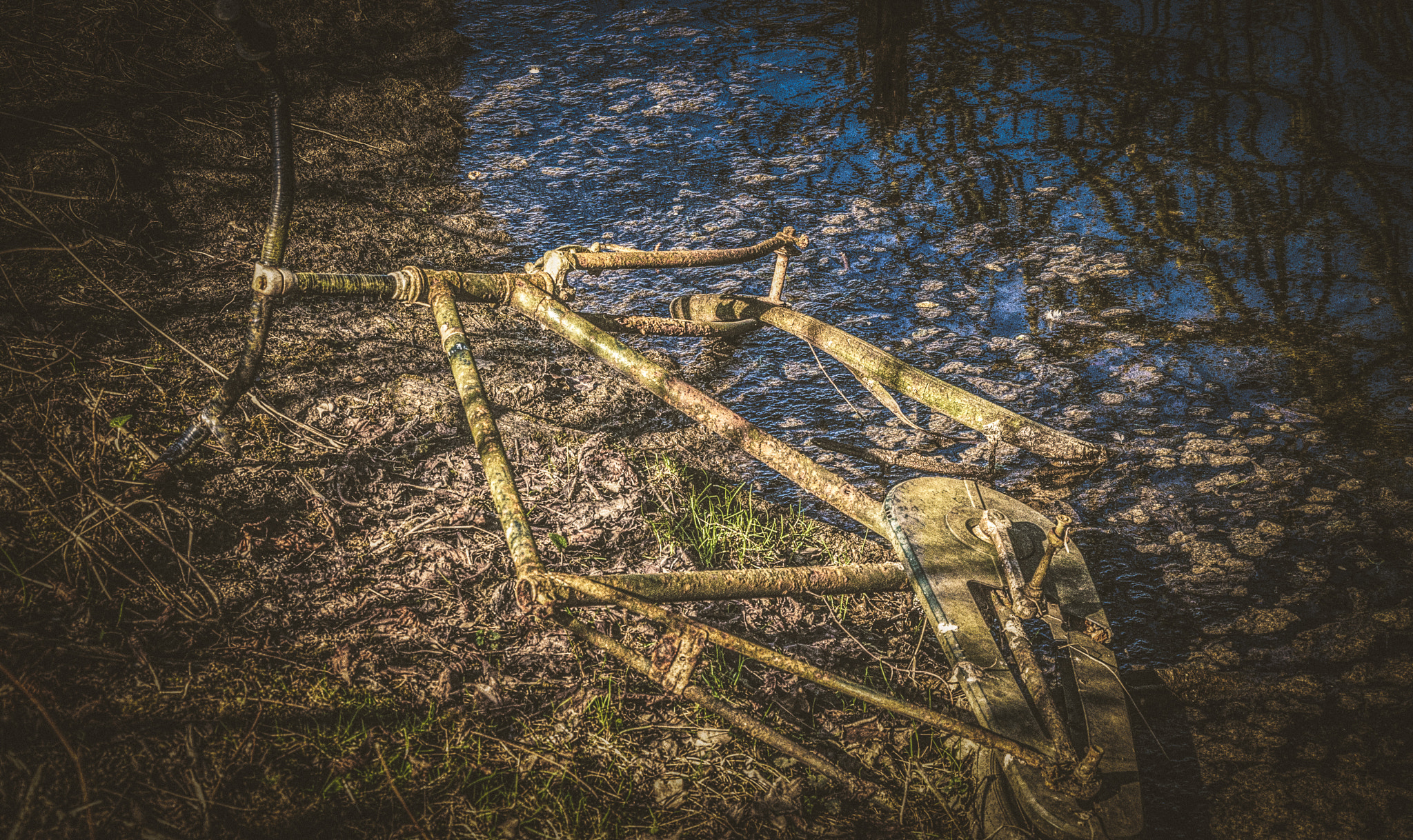 Nikon D5000 sample photo. Old bicycle, simply discarded photography