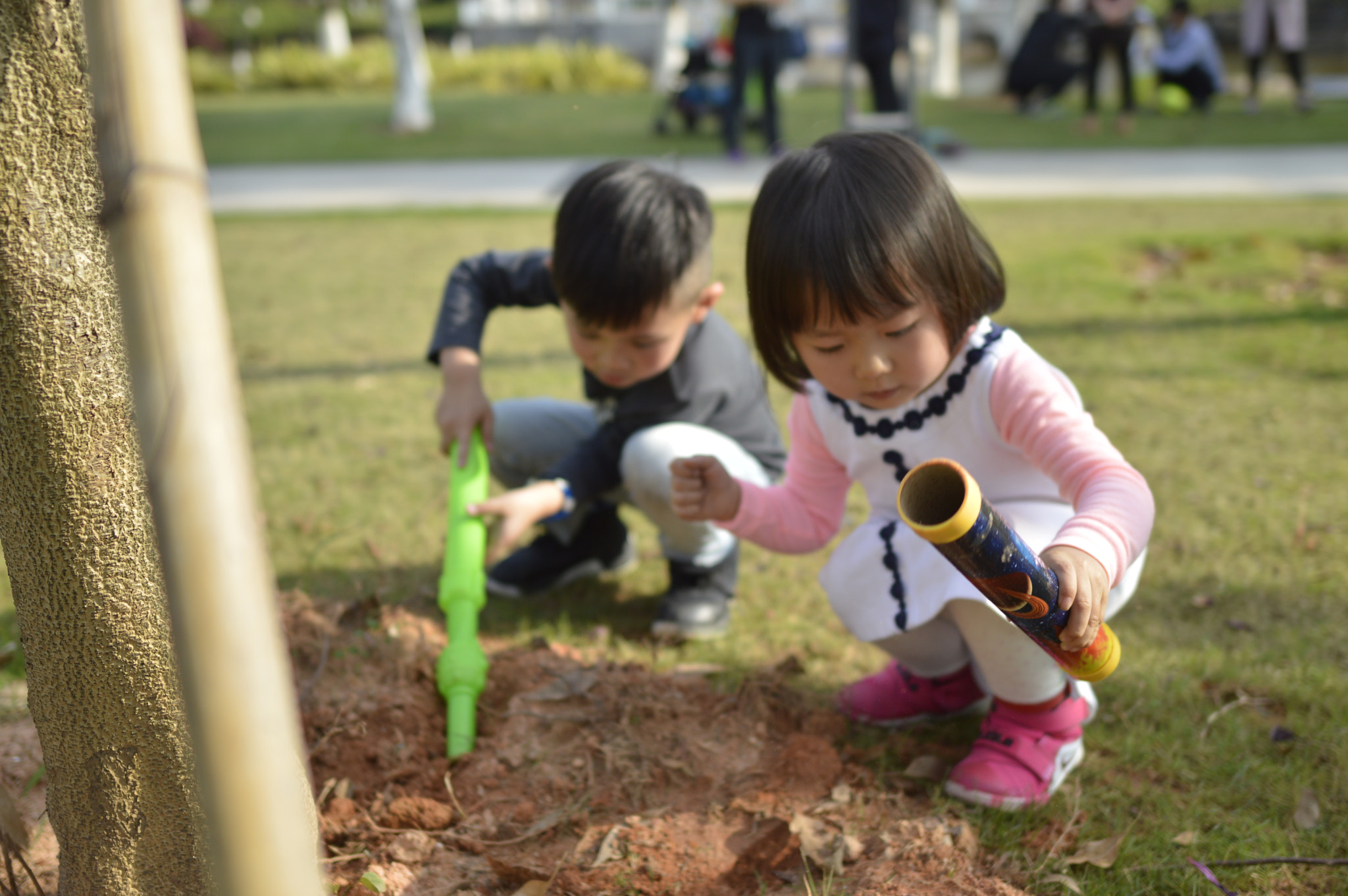 Nikon AF-S Nikkor 24mm F1.8G ED sample photo