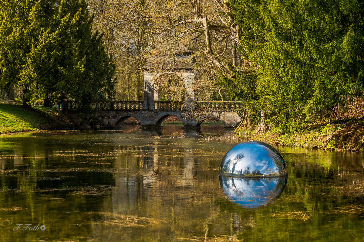 Canon EF 70-200mm F2.8L USM sample photo. Reflection photography