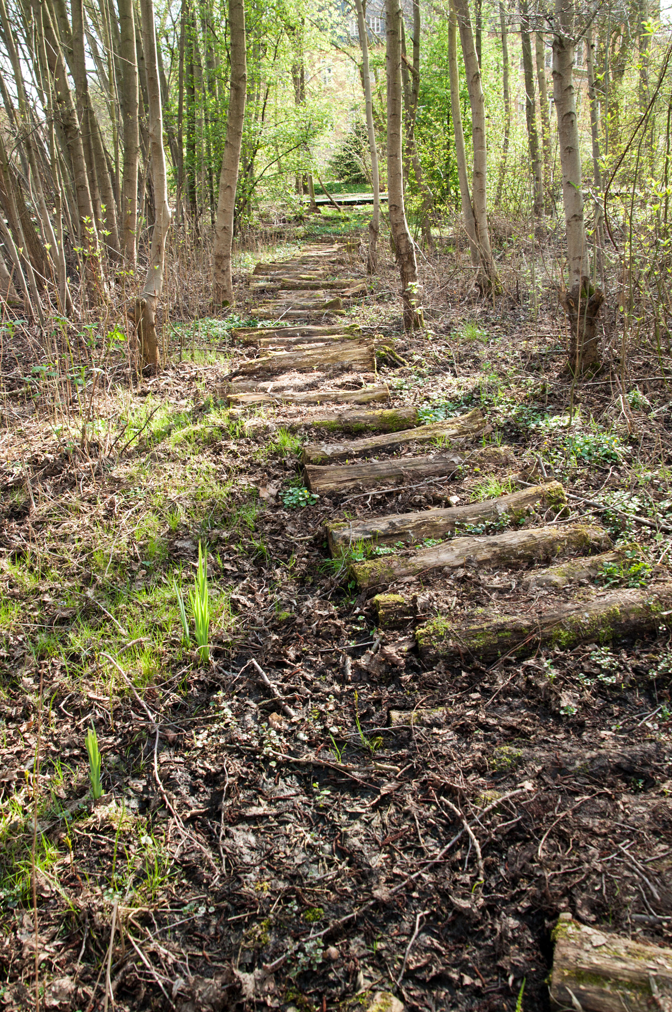 Nikon D5000 sample photo. In the moor photography