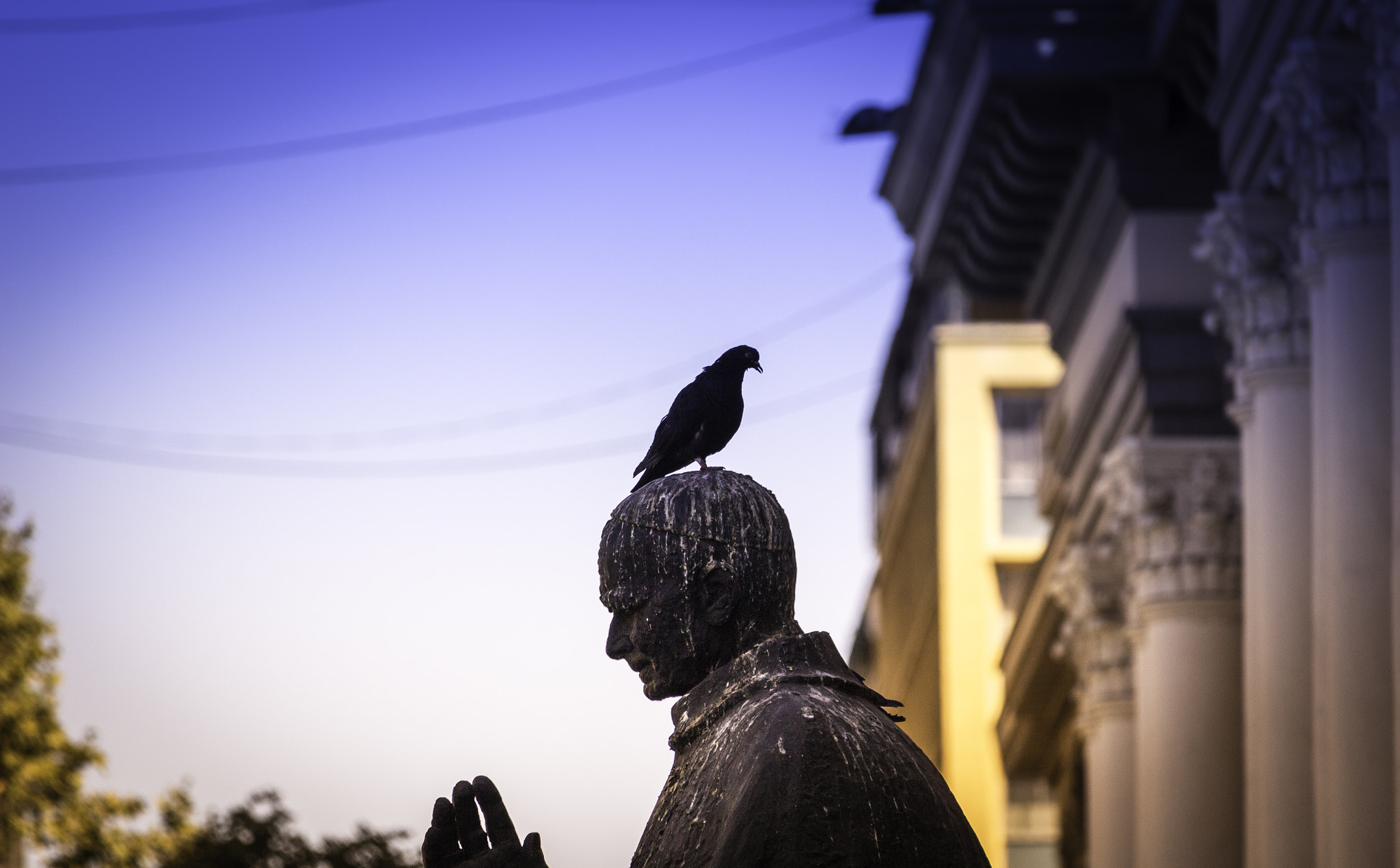 Canon EF-S 55-250mm F4-5.6 IS STM sample photo. Bird on statue, from longtimes photography