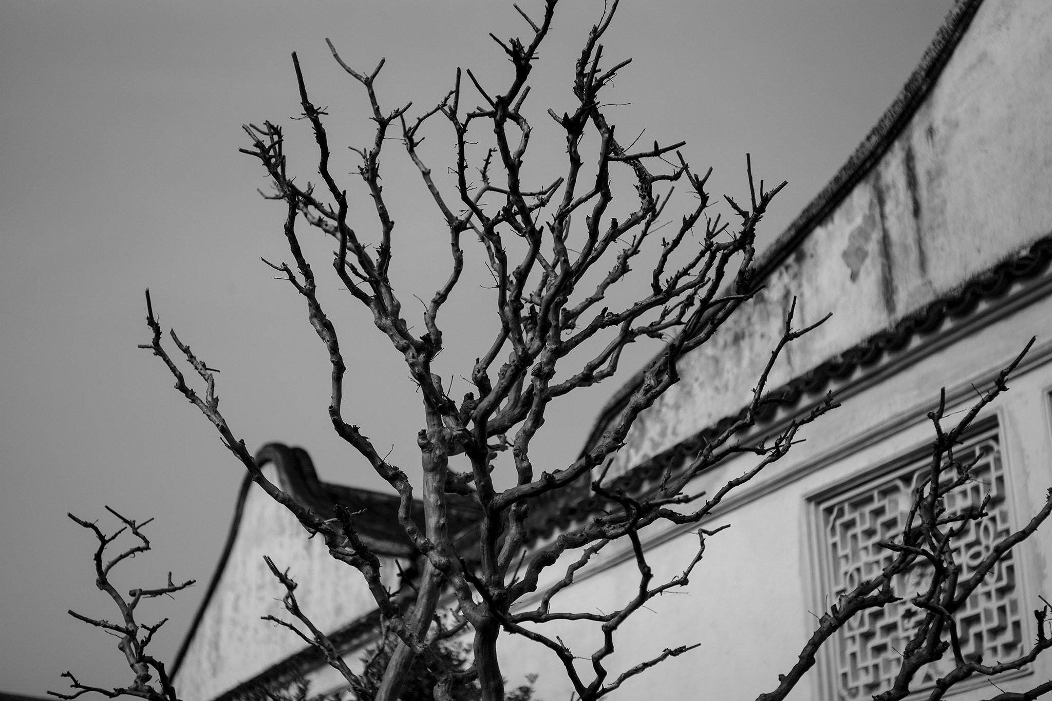 Elmar-M 1:2.8/50 sample photo. Need a spiritual pillar. photography