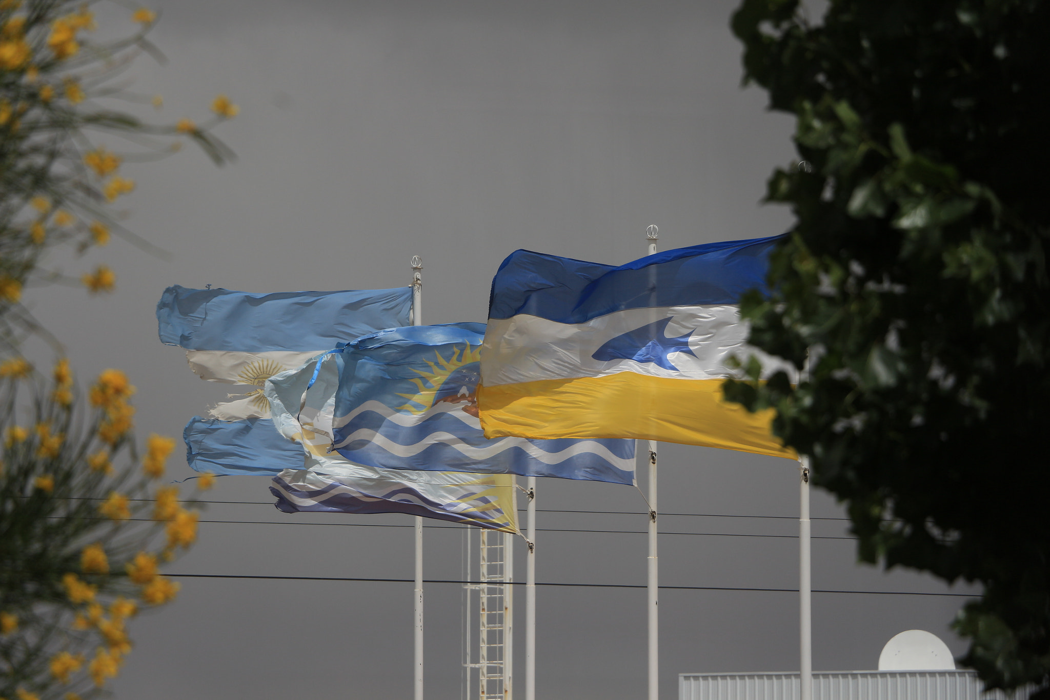 Canon EOS 700D (EOS Rebel T5i / EOS Kiss X7i) sample photo. Banderas patagonicas photography