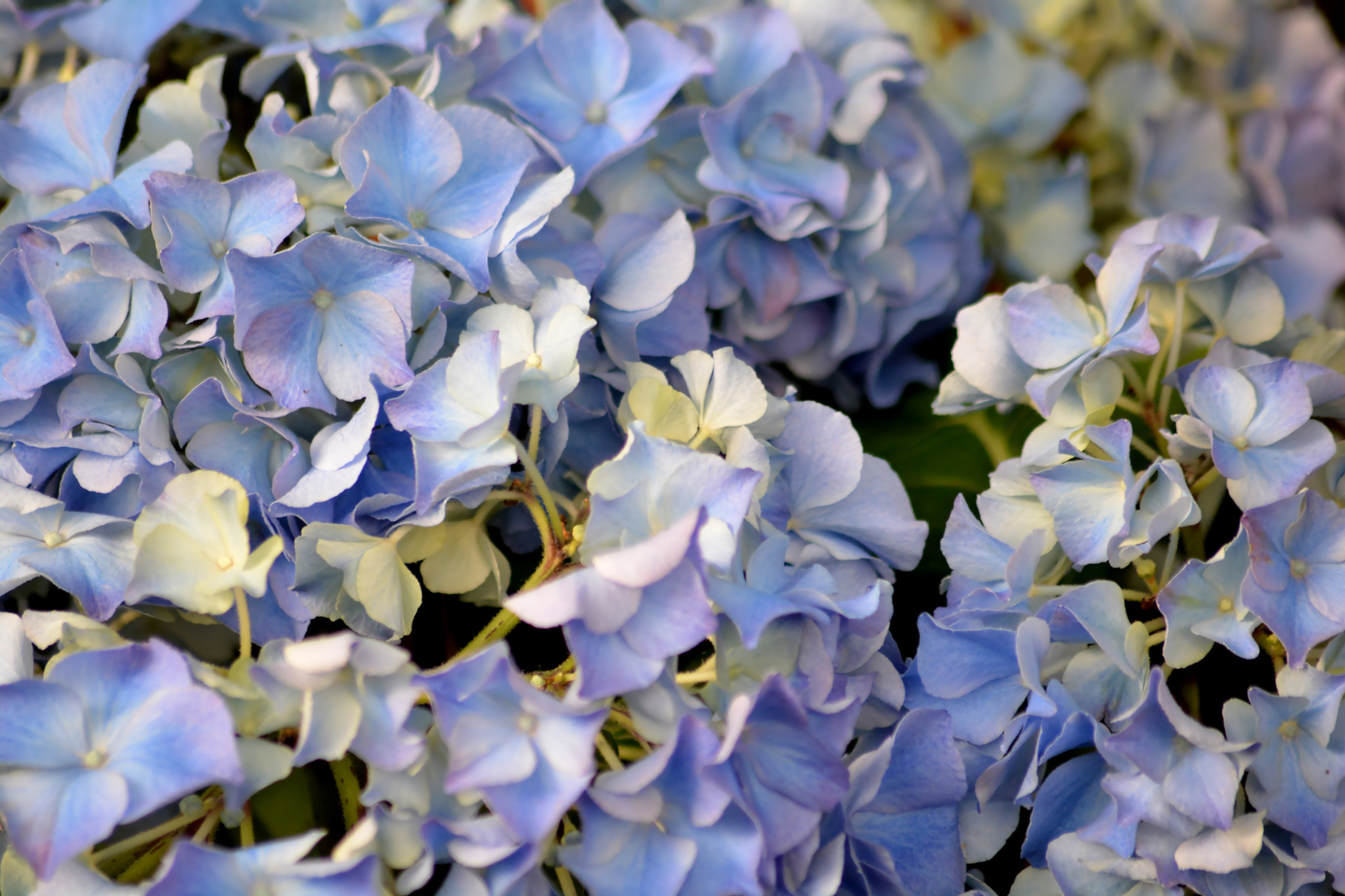 Sigma 70-300mm F4-5.6 APO DG Macro sample photo. F10 photography