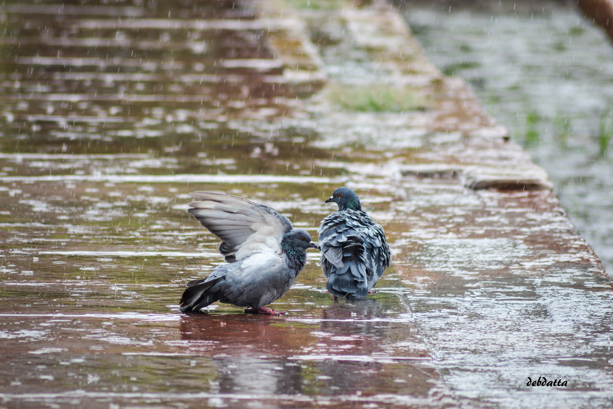 Nikon D3100 sample photo. Fun time photography