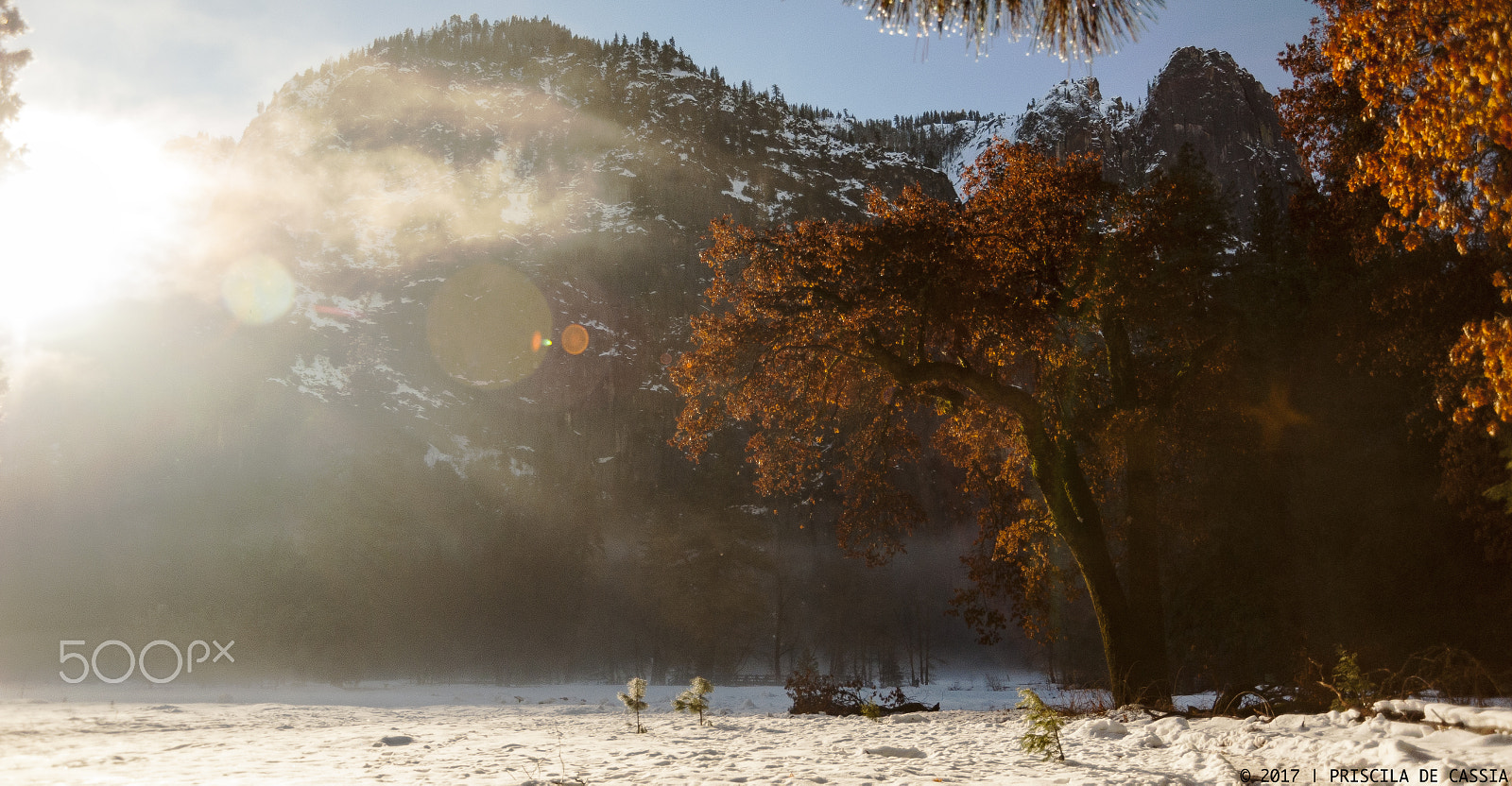 Nikon D700 sample photo. Sunny and foggy winter morning photography