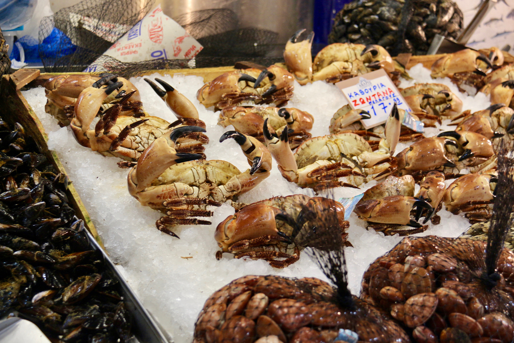 Canon EF-S 18-200mm F3.5-5.6 IS sample photo. Fresh crabs photography