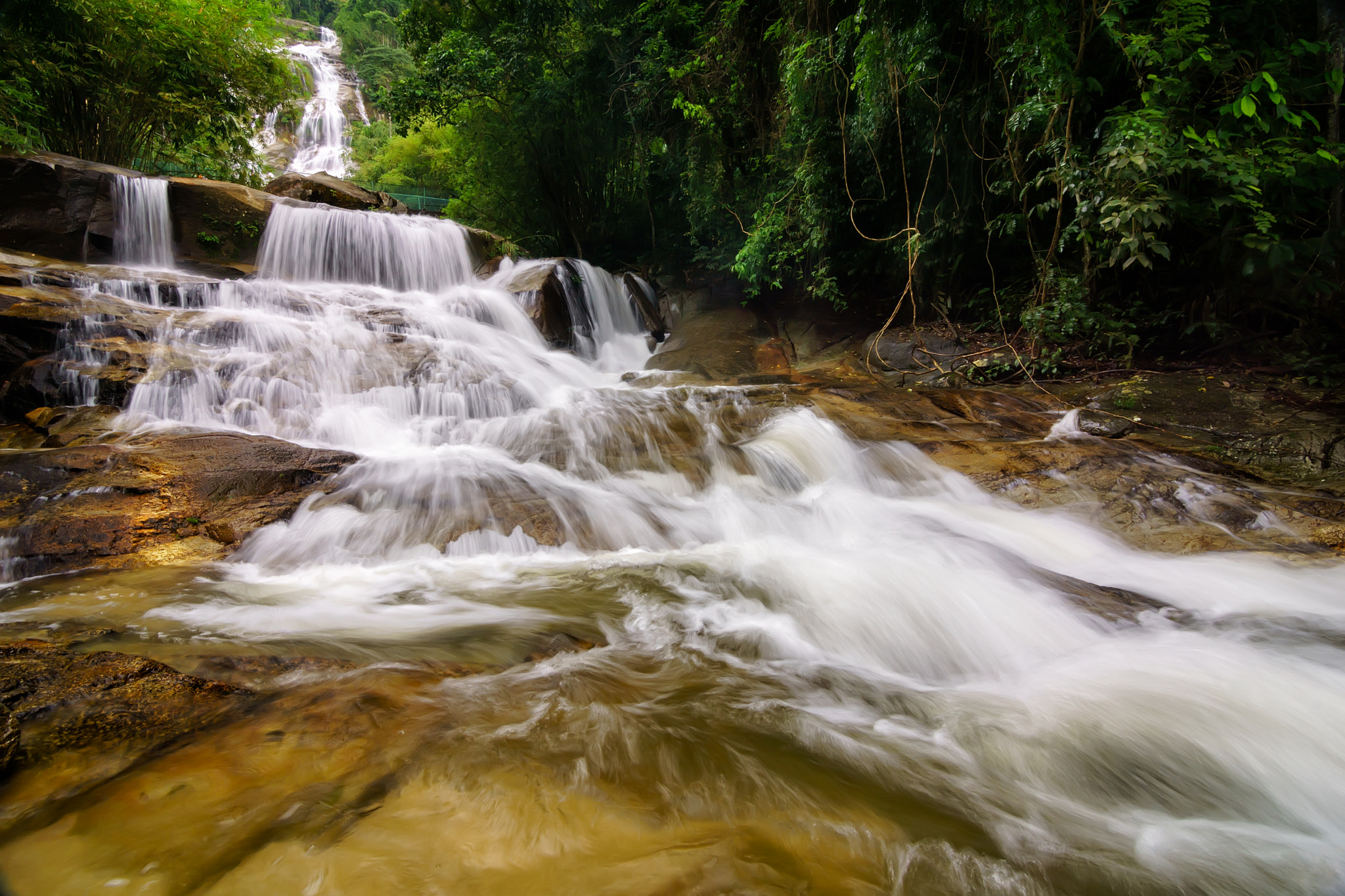 Sony a6000 sample photo. The whisper of lata kinjang photography