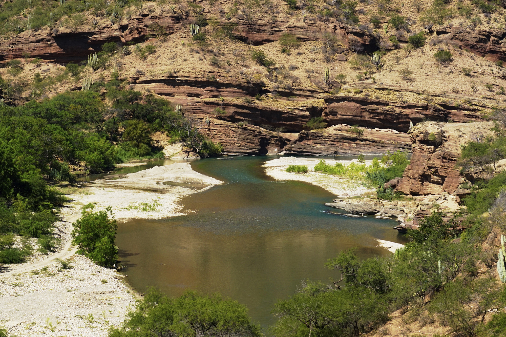 Sony ILCA-77M2 + Minolta/Sony AF 70-200mm F2.8 G sample photo. Rio   grande photography