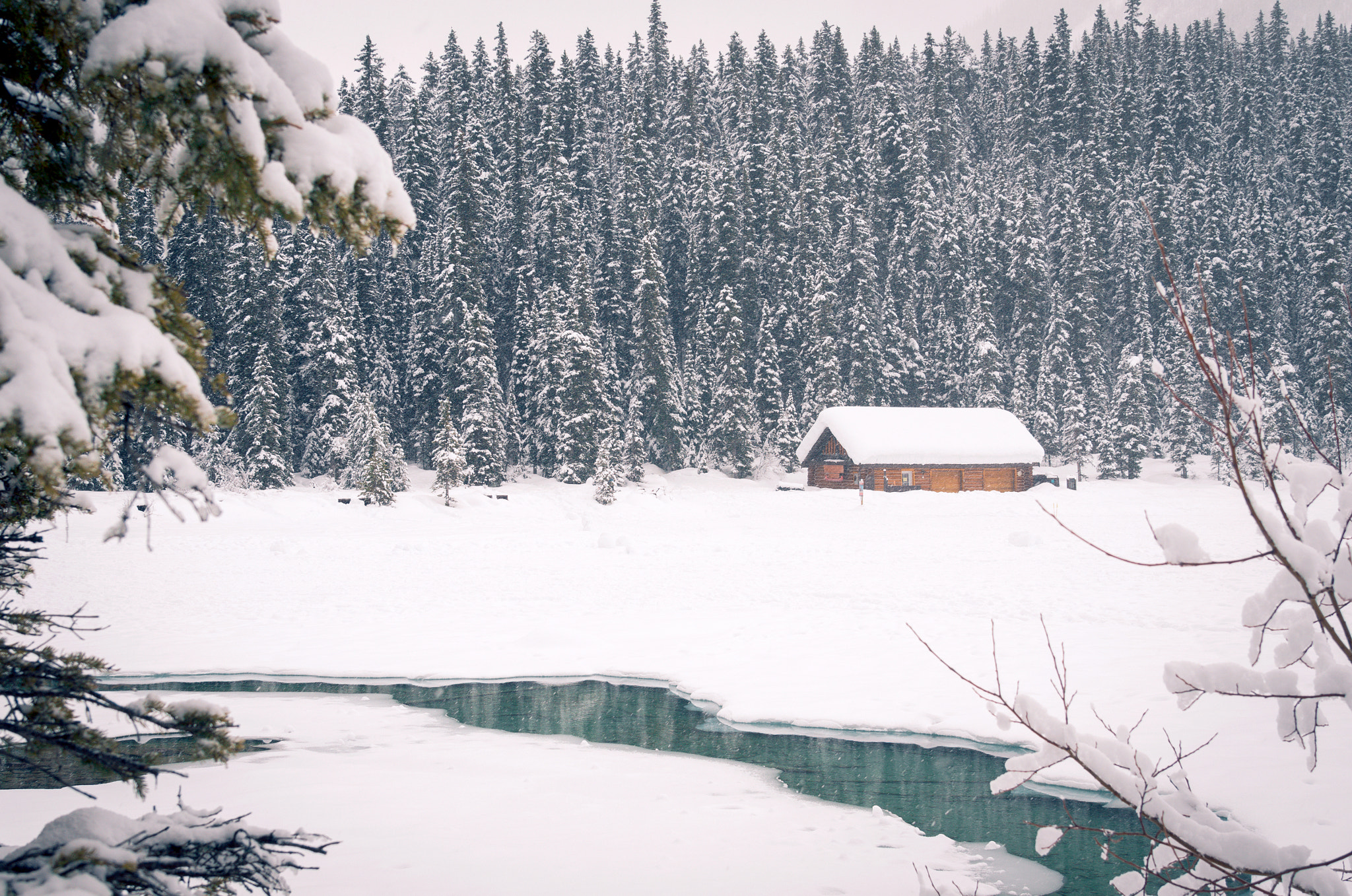 Nikon AF-S Nikkor 24-120mm F4G ED VR sample photo. Lakeside cabin photography