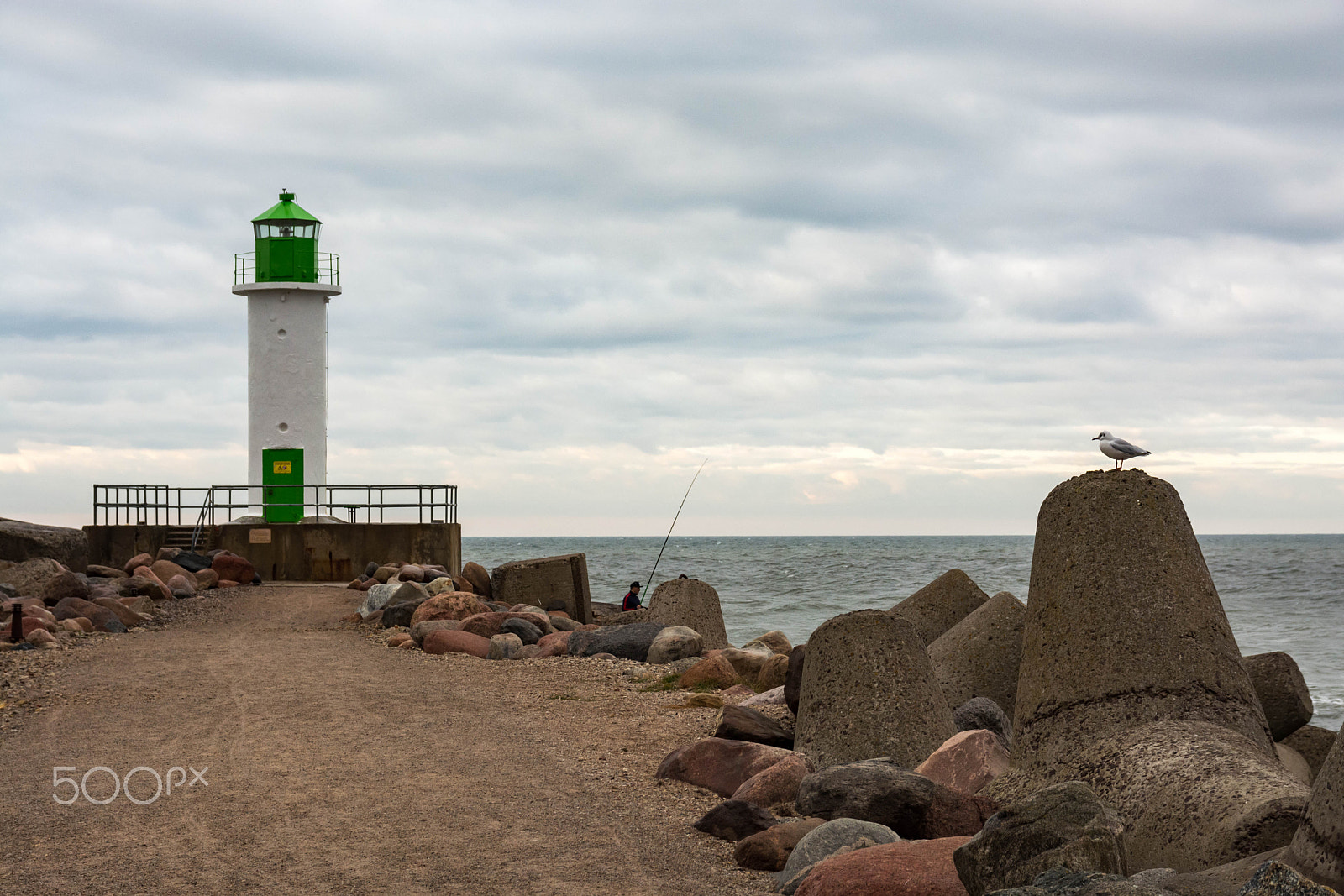 Nikon D5200 sample photo. Lighthouse and seagull photography