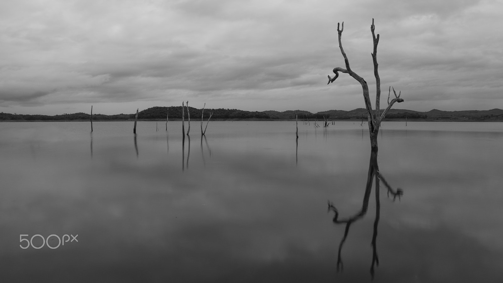 Fujifilm XC 16-50mm F3.5-5.6 OIS sample photo. Wither photography