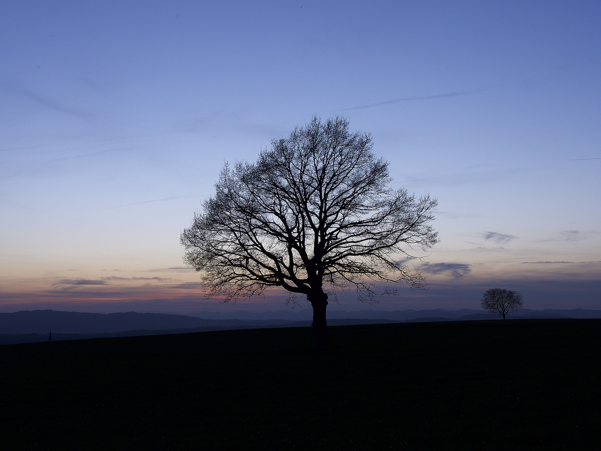 Panasonic Lumix DMC-GX8 sample photo. Sunset tree photography