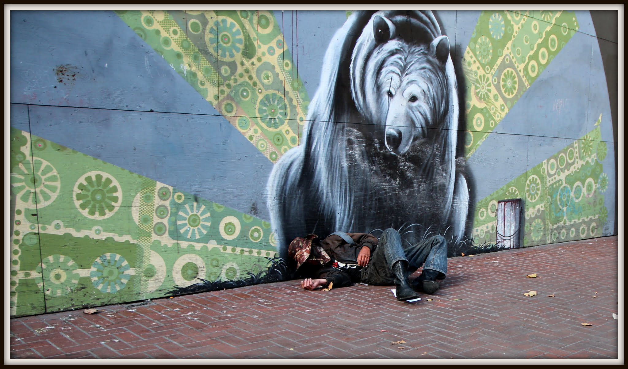 Canon EOS 600D (Rebel EOS T3i / EOS Kiss X5) sample photo. The bear and the homeless photography