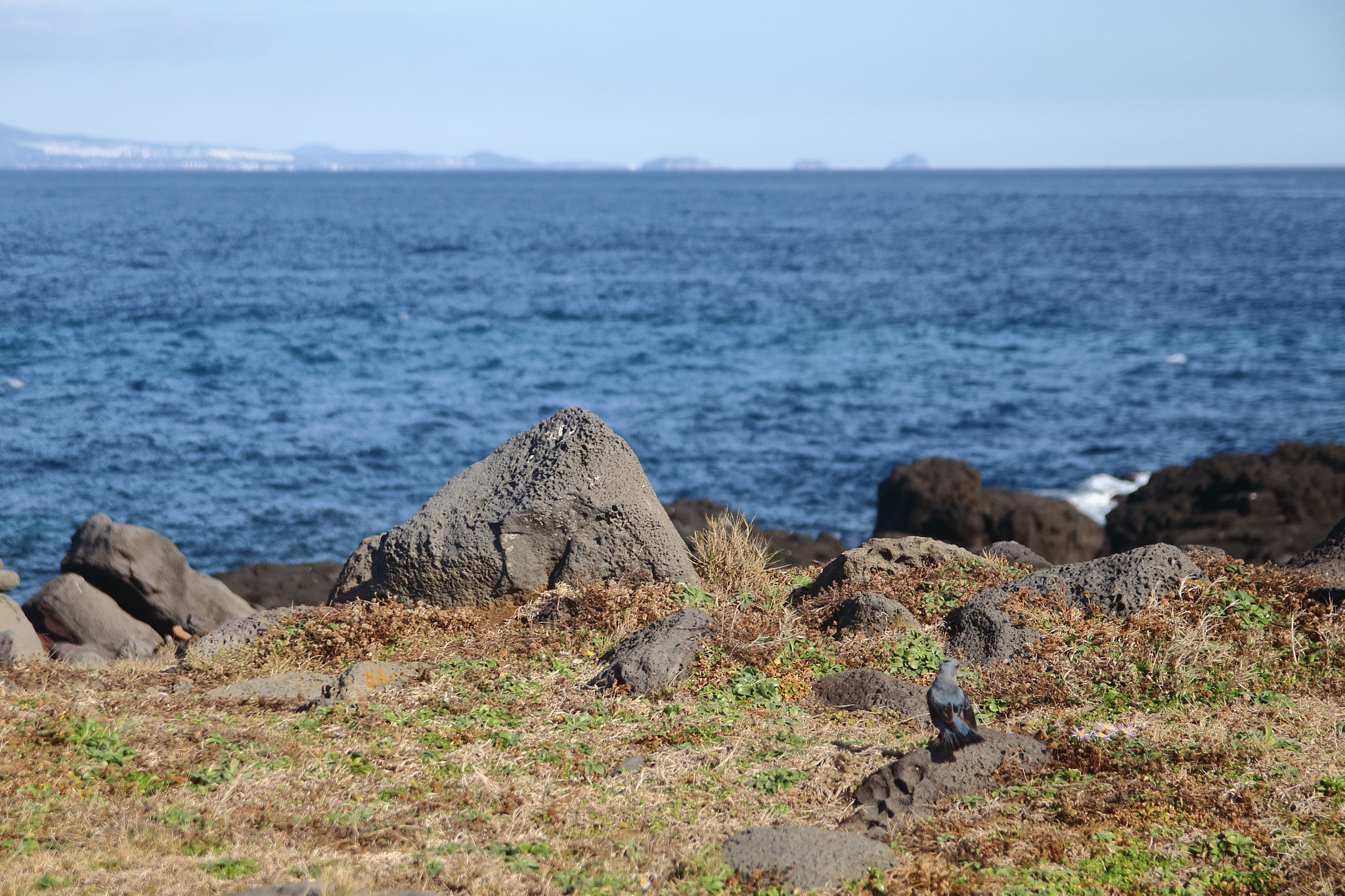 Canon EF-S 17-55mm F2.8 IS USM sample photo. Jeju photography