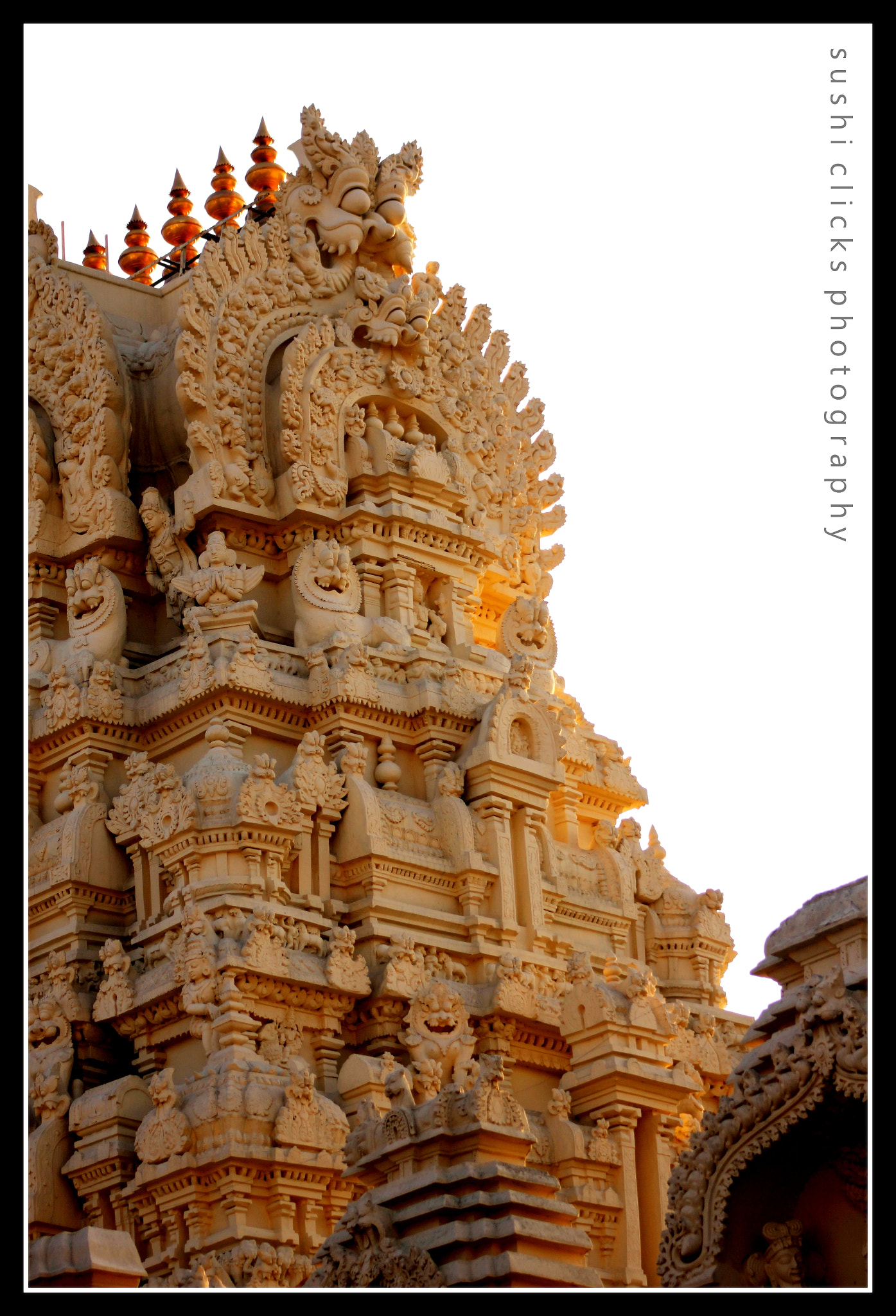 Canon EF 75-300mm f/4-5.6 USM sample photo. Spiritual india  photography