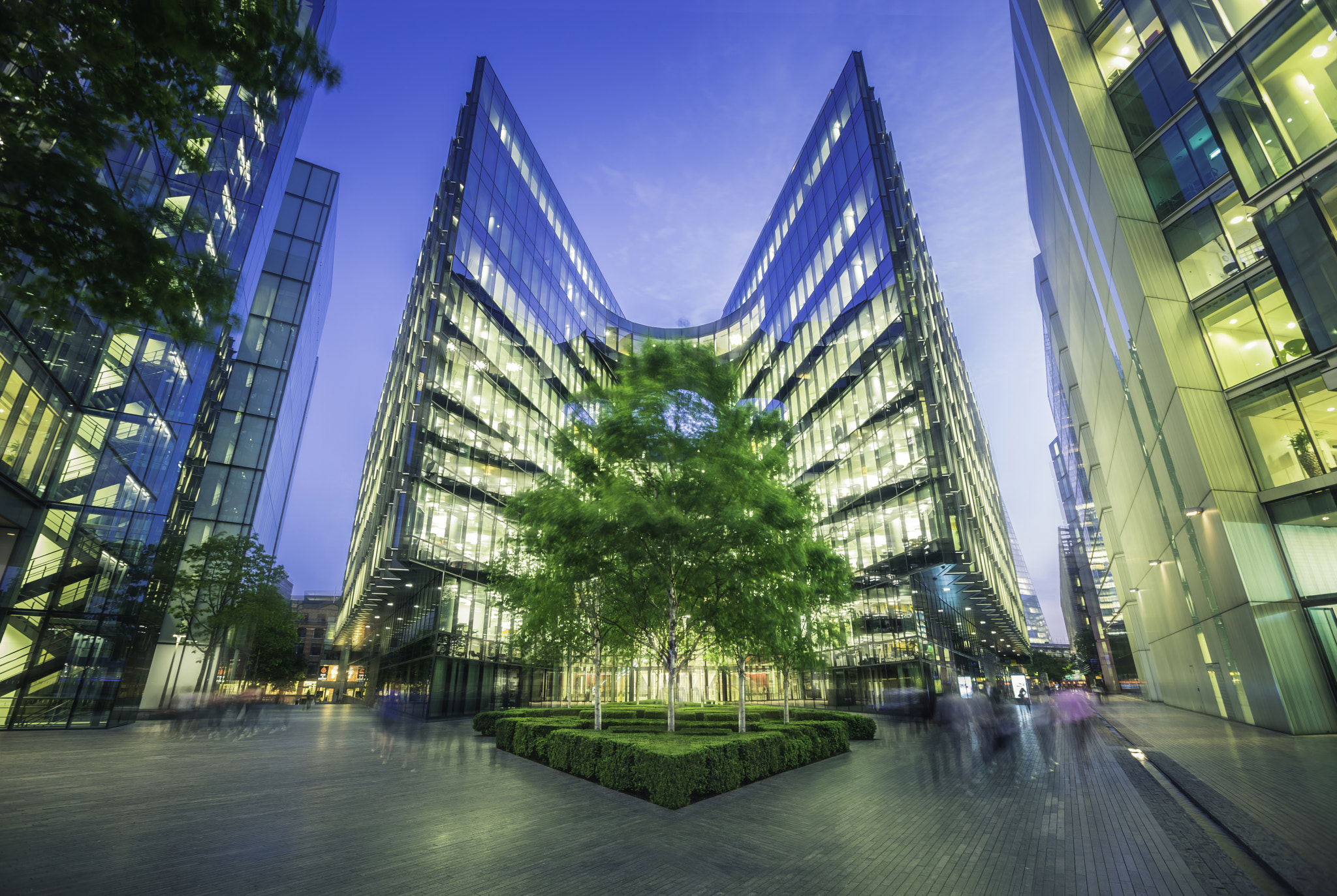 Sony a7R + Canon EF 16-35mm F2.8L II USM sample photo. Dancing tree in london photography