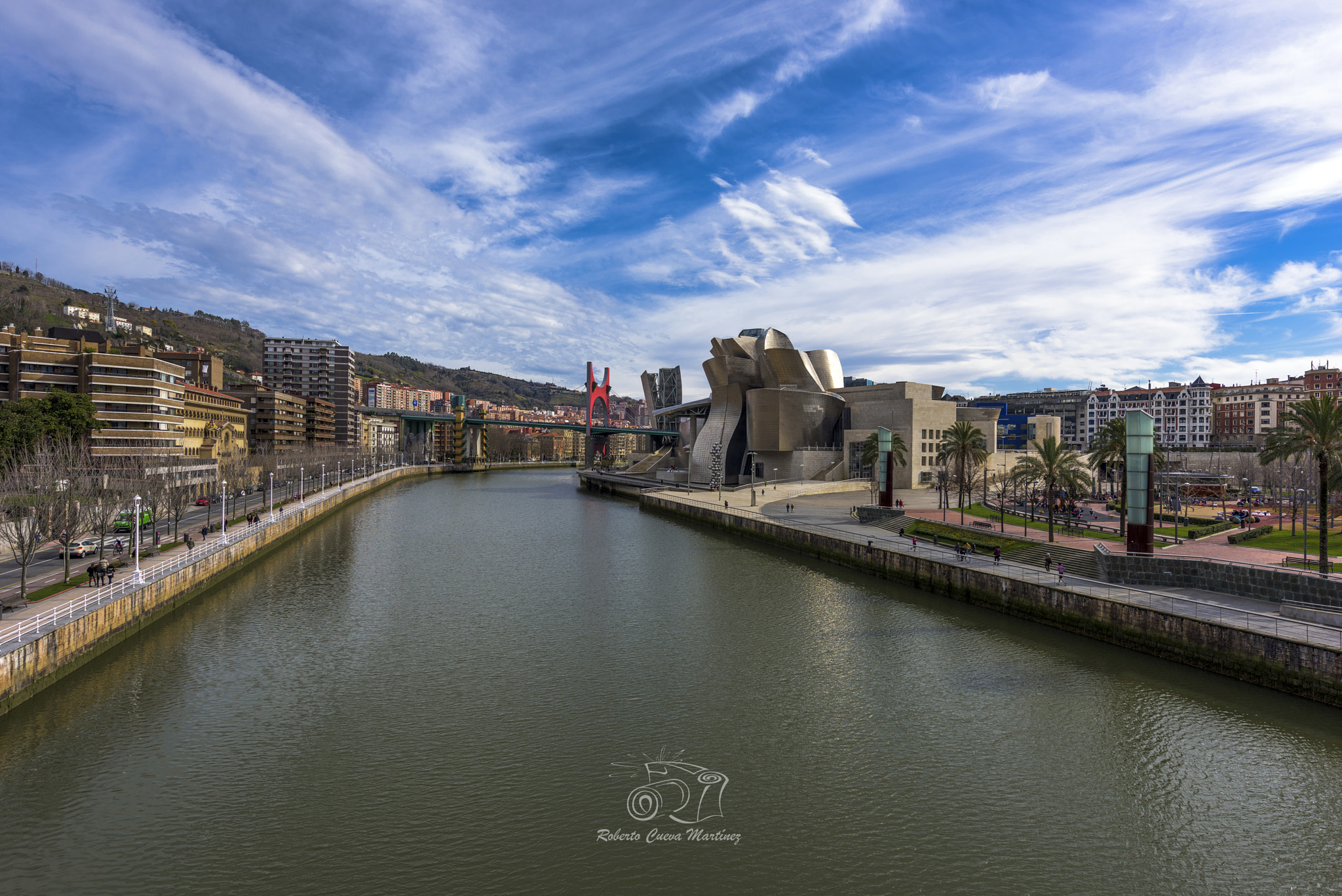 Nikon D810 sample photo. Guggenheim bilbao photography