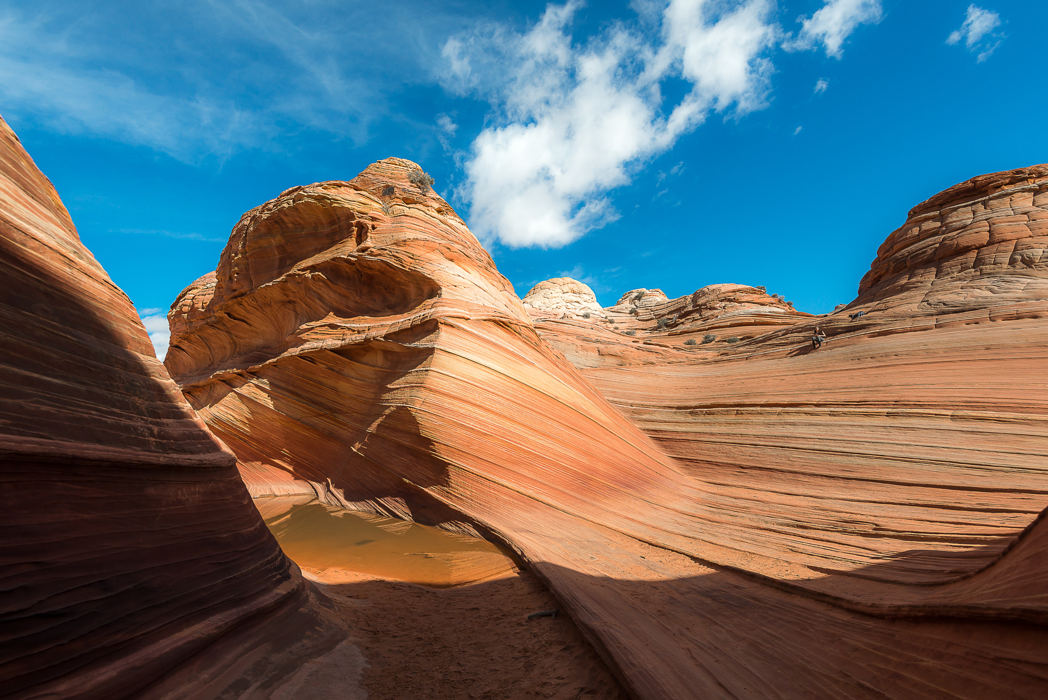 Nikon D800E + Nikon AF-S Nikkor 16-35mm F4G ED VR sample photo. The wave in north  coyote buttes photography