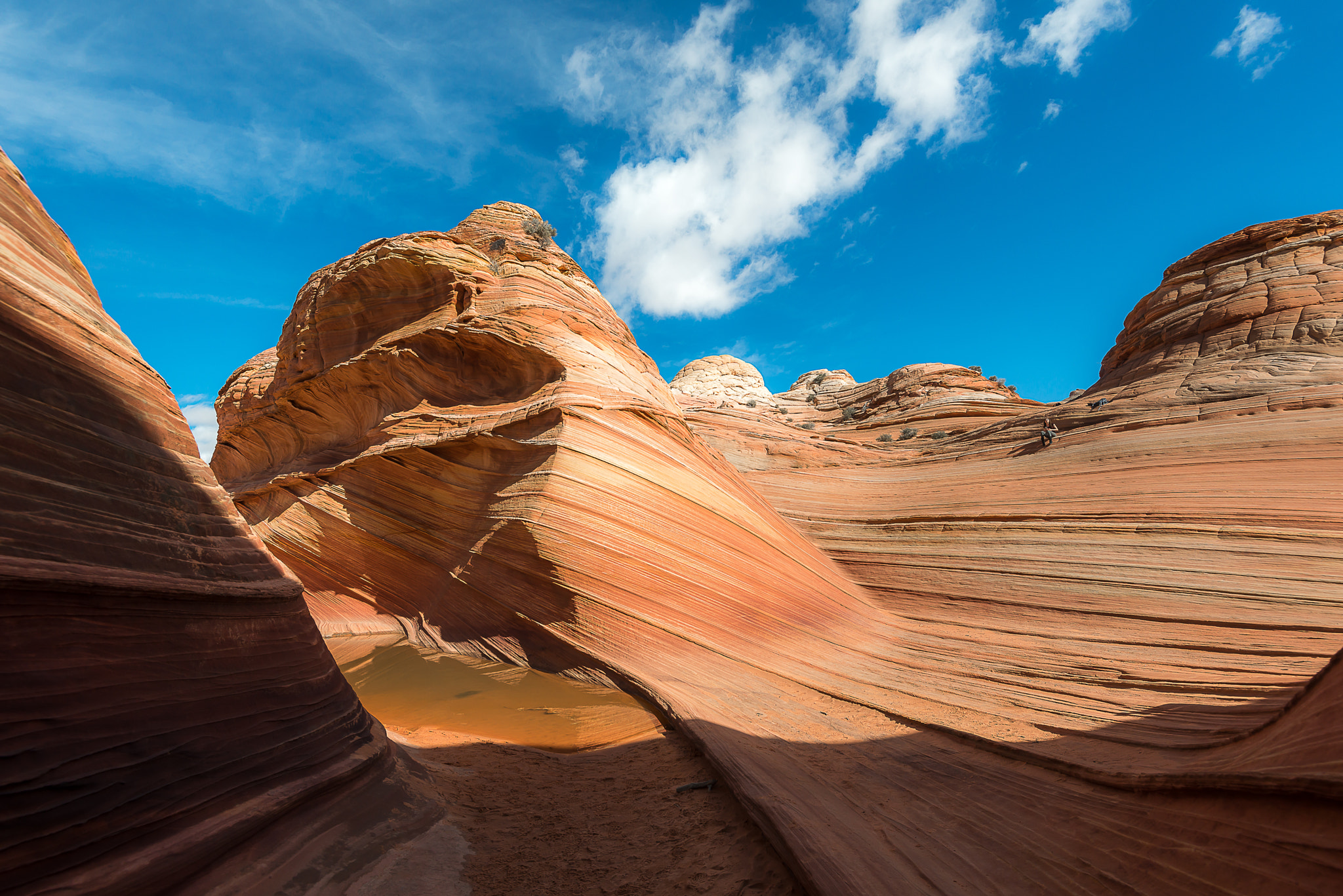 Nikon AF-S Nikkor 16-35mm F4G ED VR sample photo. The wave in north  coyote buttes photography