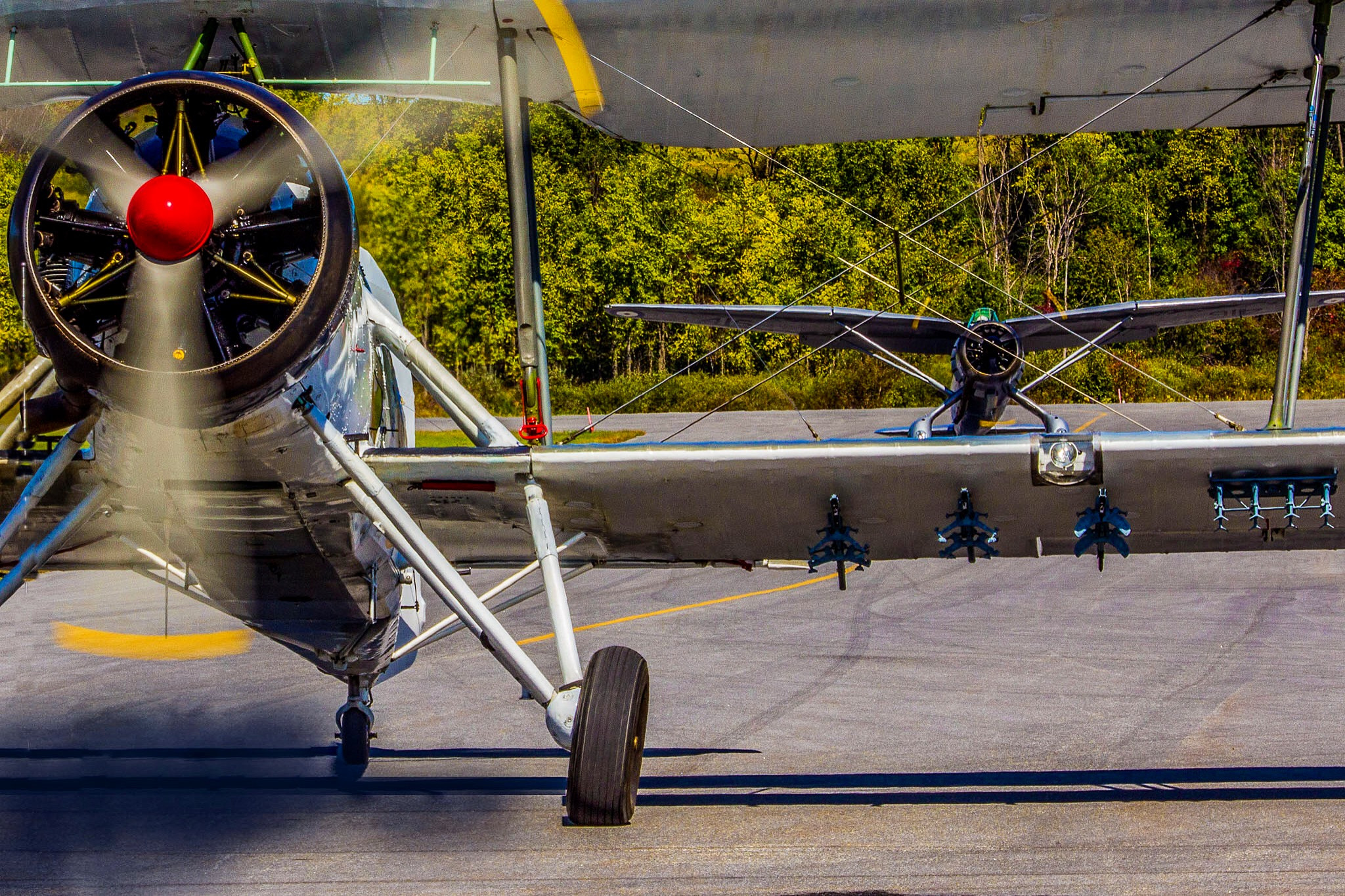 Canon EF 70-200mm F4L USM sample photo. Take flight photography