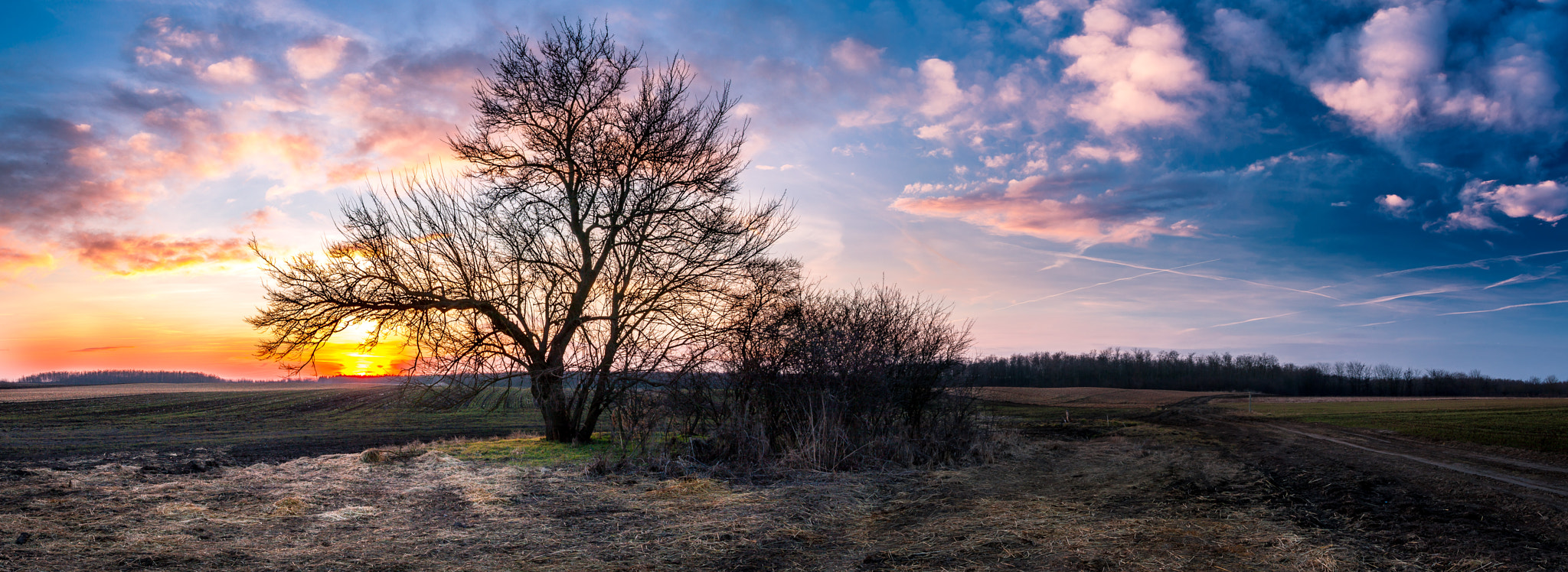 Canon EOS 5D Mark II + Canon EF 17-40mm F4L USM sample photo. Sunset near my hometown photography