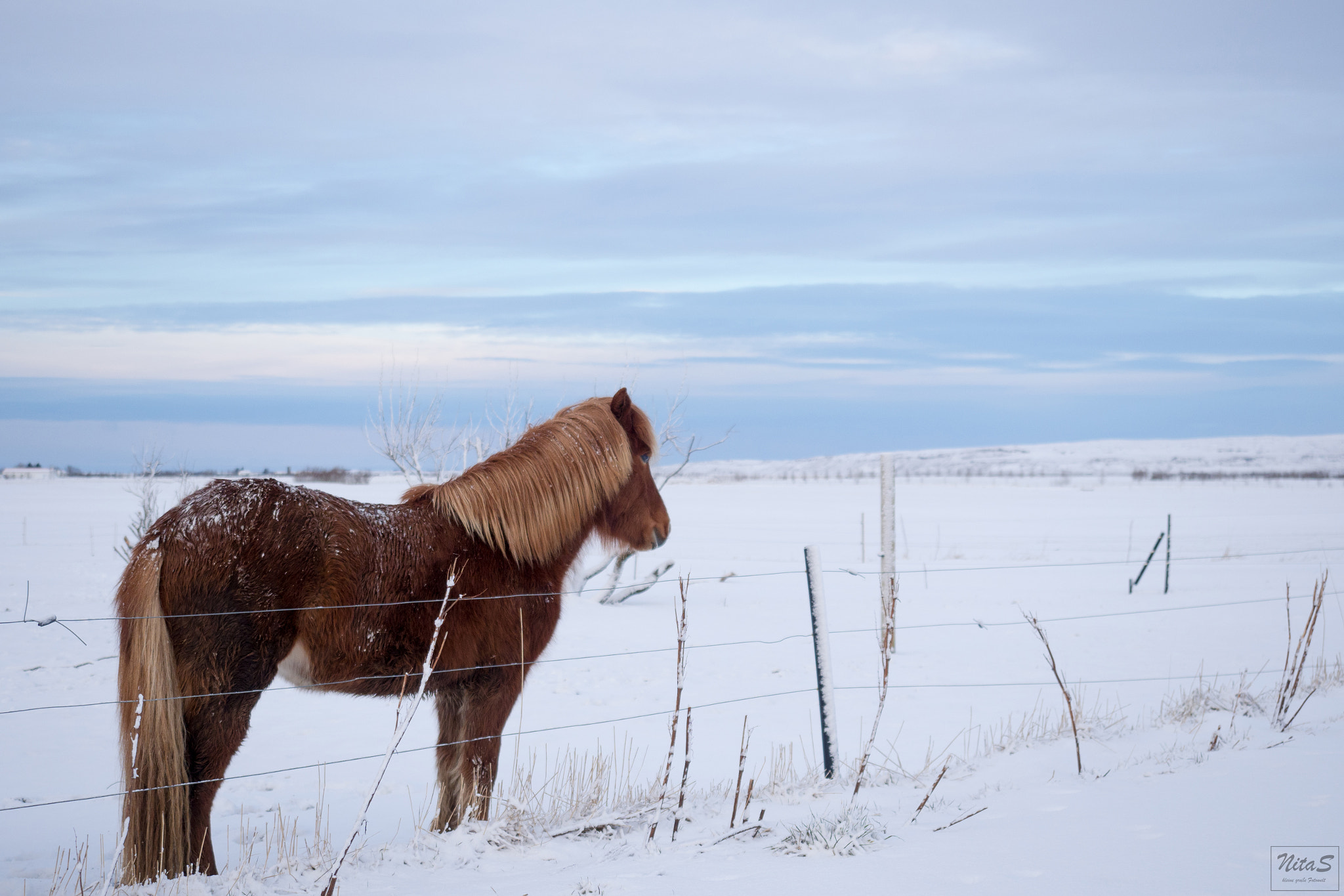 Olympus OM-D E-M1 Mark II sample photo. Early morning photography