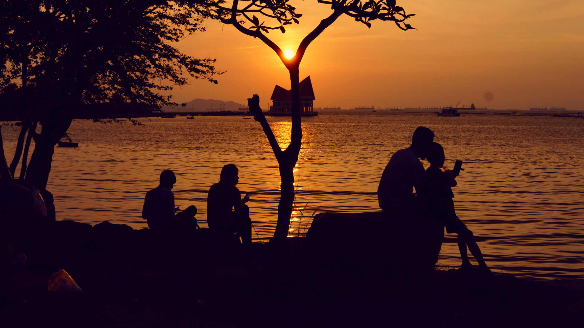 Sigma 30mm F1.4 DC DN | C sample photo. Golden time. photography