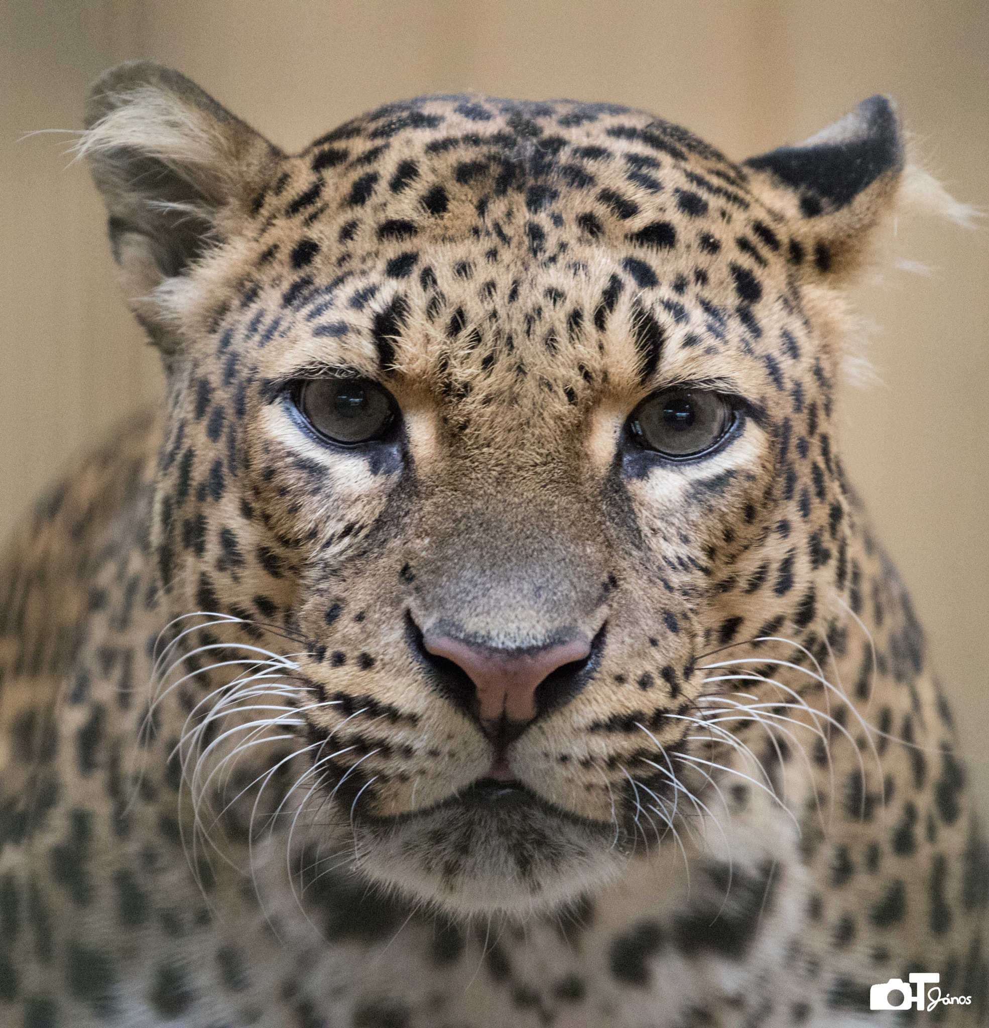 Canon EF 70-200mm F4L USM sample photo. Mgl photography