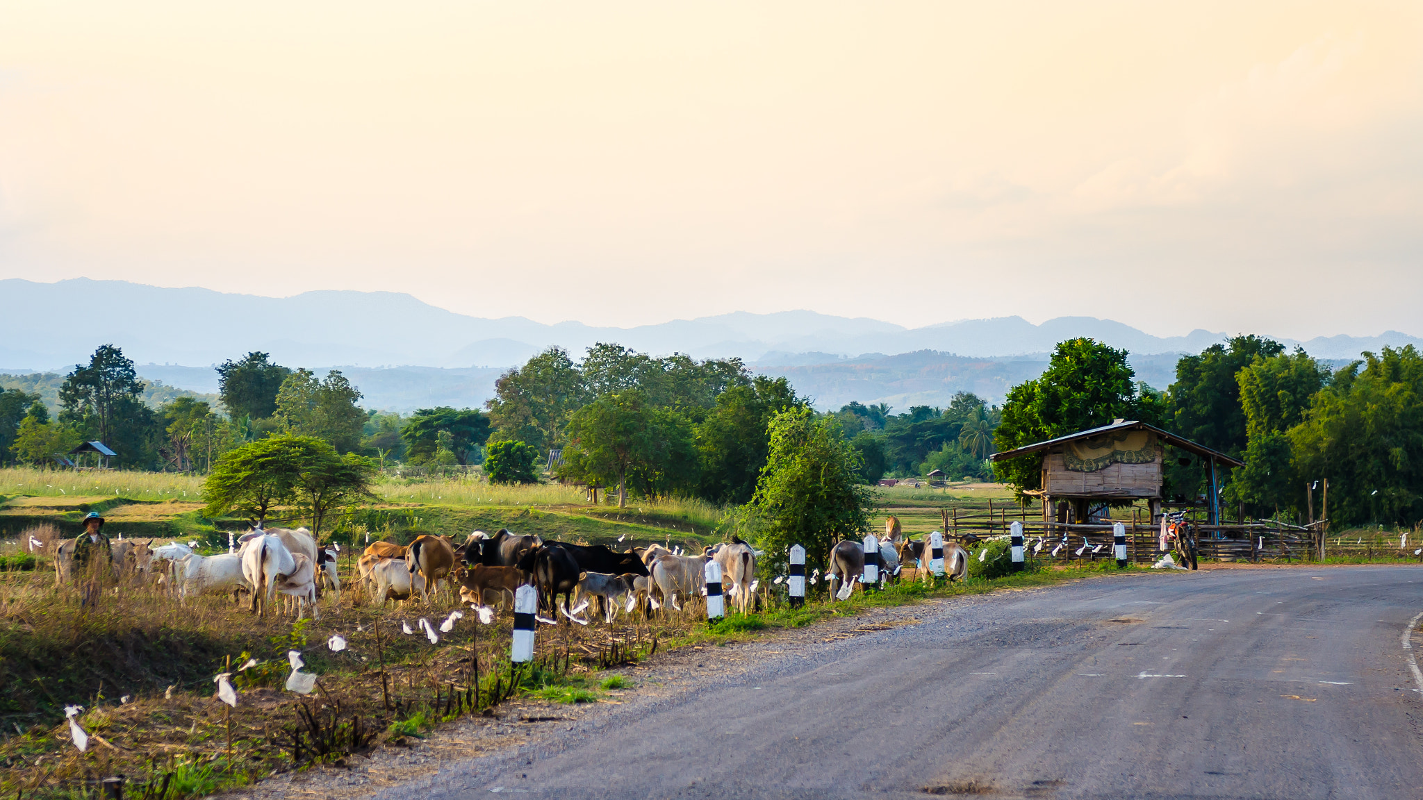 Nikon AF-S Nikkor 24-70mm F2.8G ED sample photo. Countryside photography