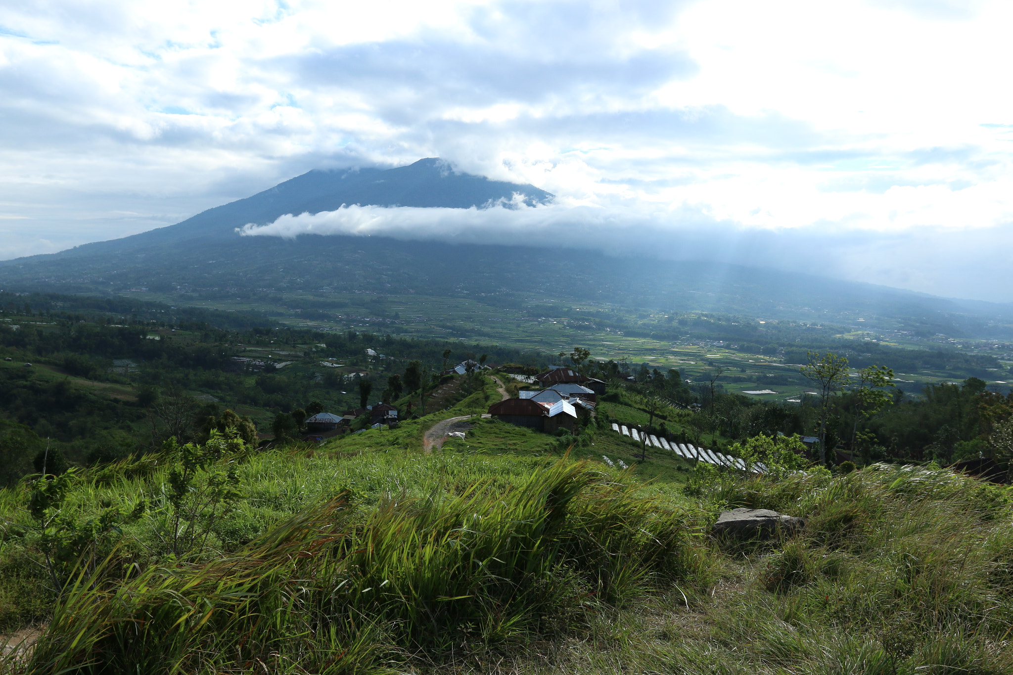 Canon EOS 70D + Canon EF 17-40mm F4L USM sample photo. Mother land photography