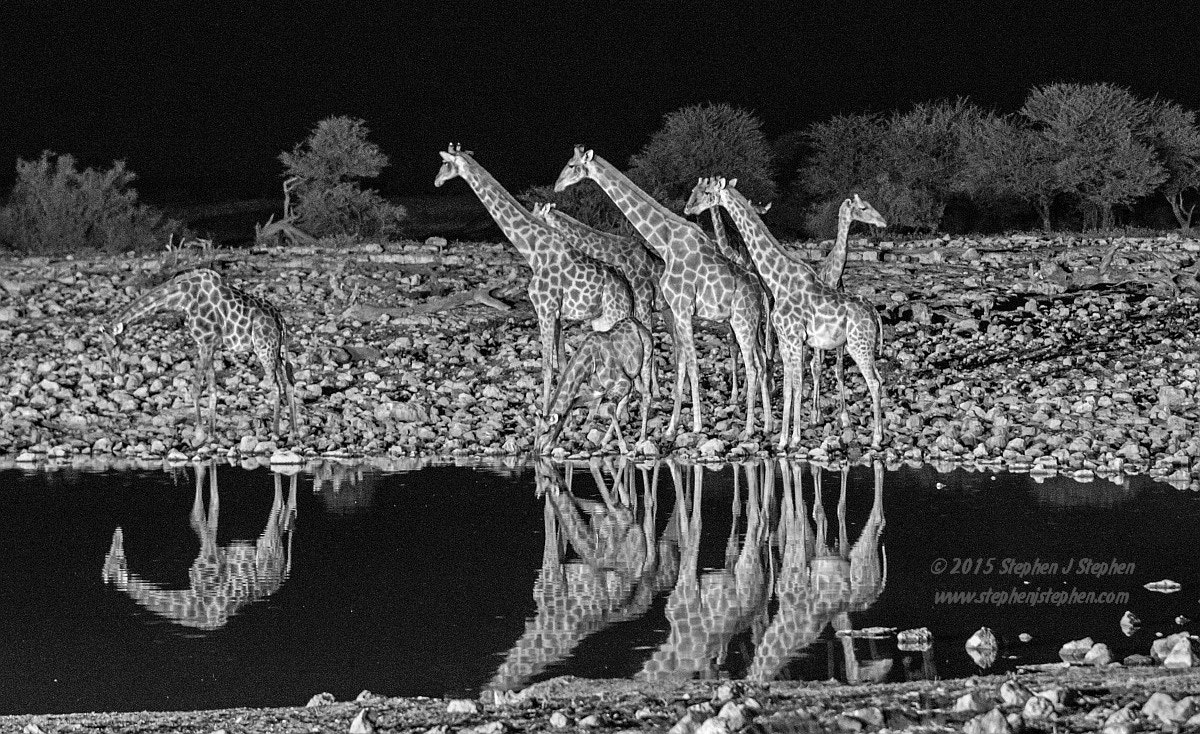 Canon EF 70-200mm F2.8L USM sample photo. "night visit" photography