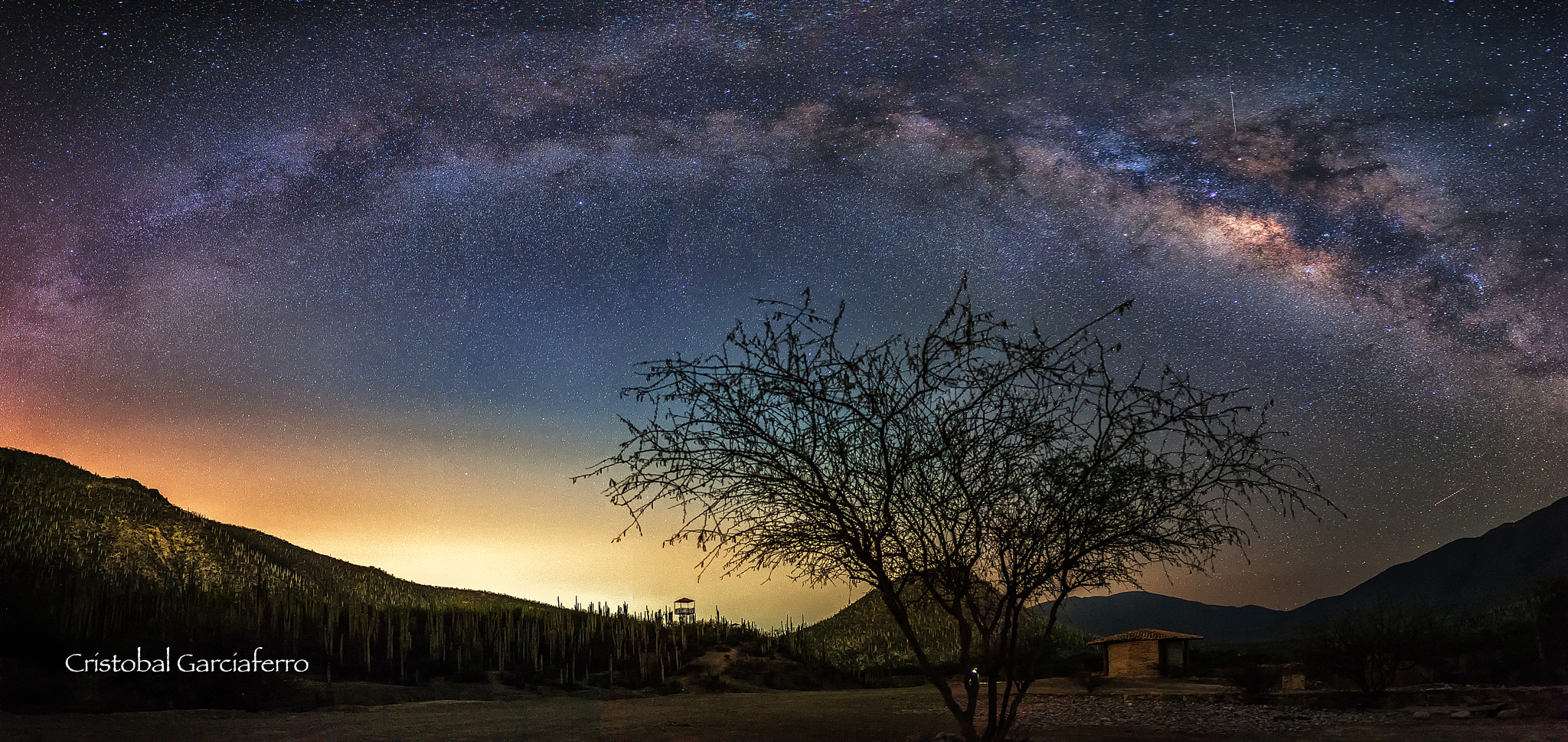 Nikon D3X sample photo. Milkyway arch over the cactus land photography