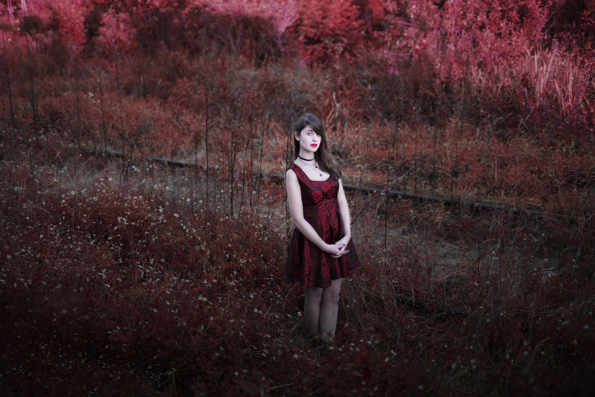 Nikon D610 + Sigma 50mm F1.4 DG HSM Art sample photo. - photography