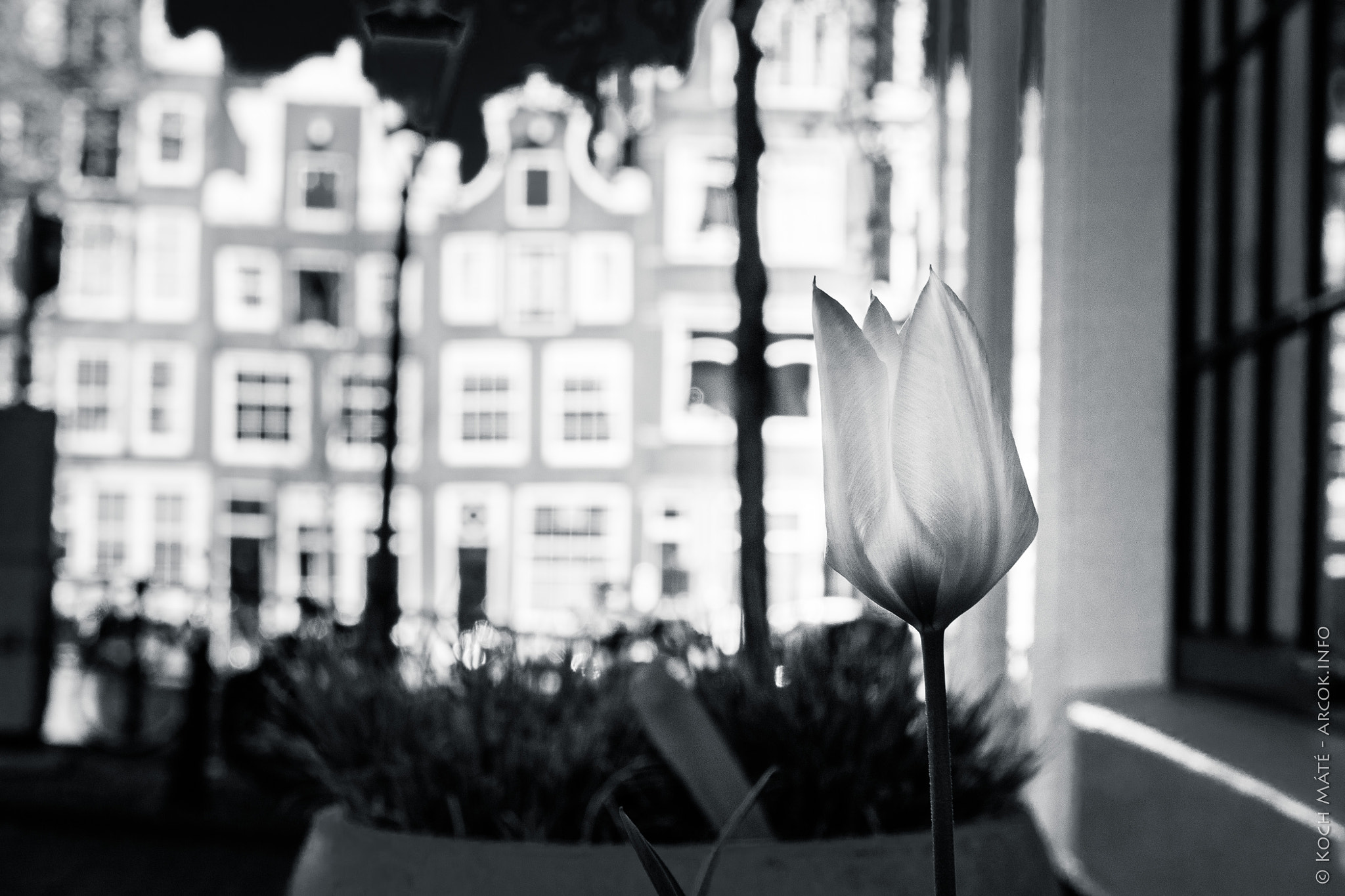 Canon EOS M3 sample photo. Spring in amsterdam photography