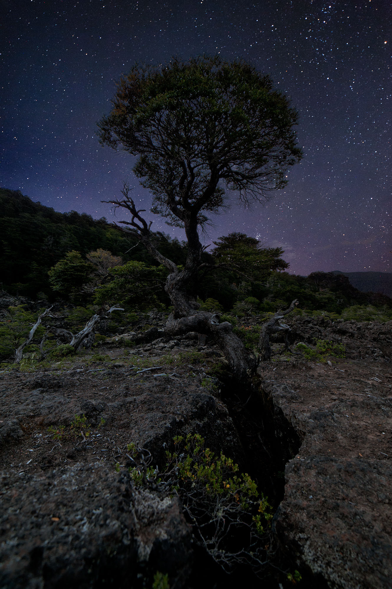 Samyang 14mm F2.8 ED AS IF UMC sample photo. El escorial photography
