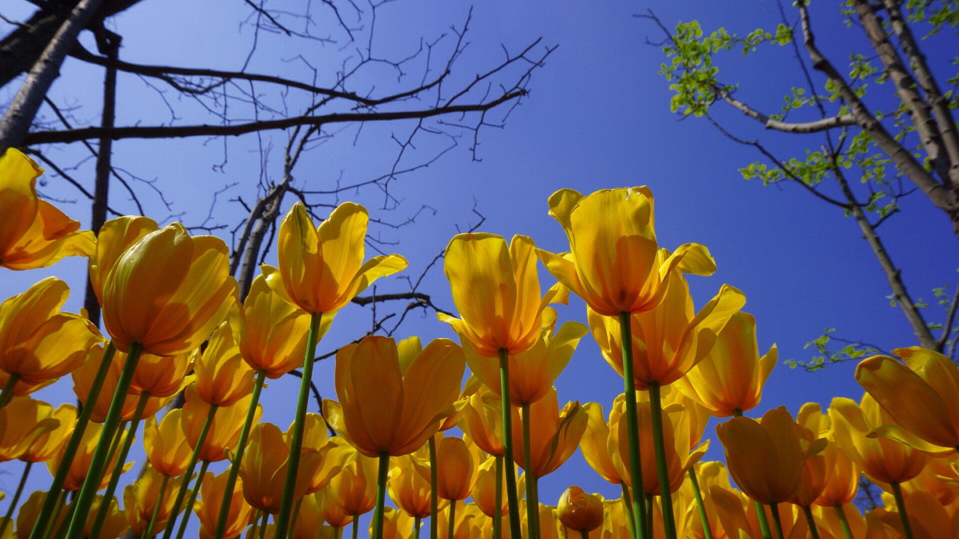 Sony E 18-50mm F4-5.6 sample photo