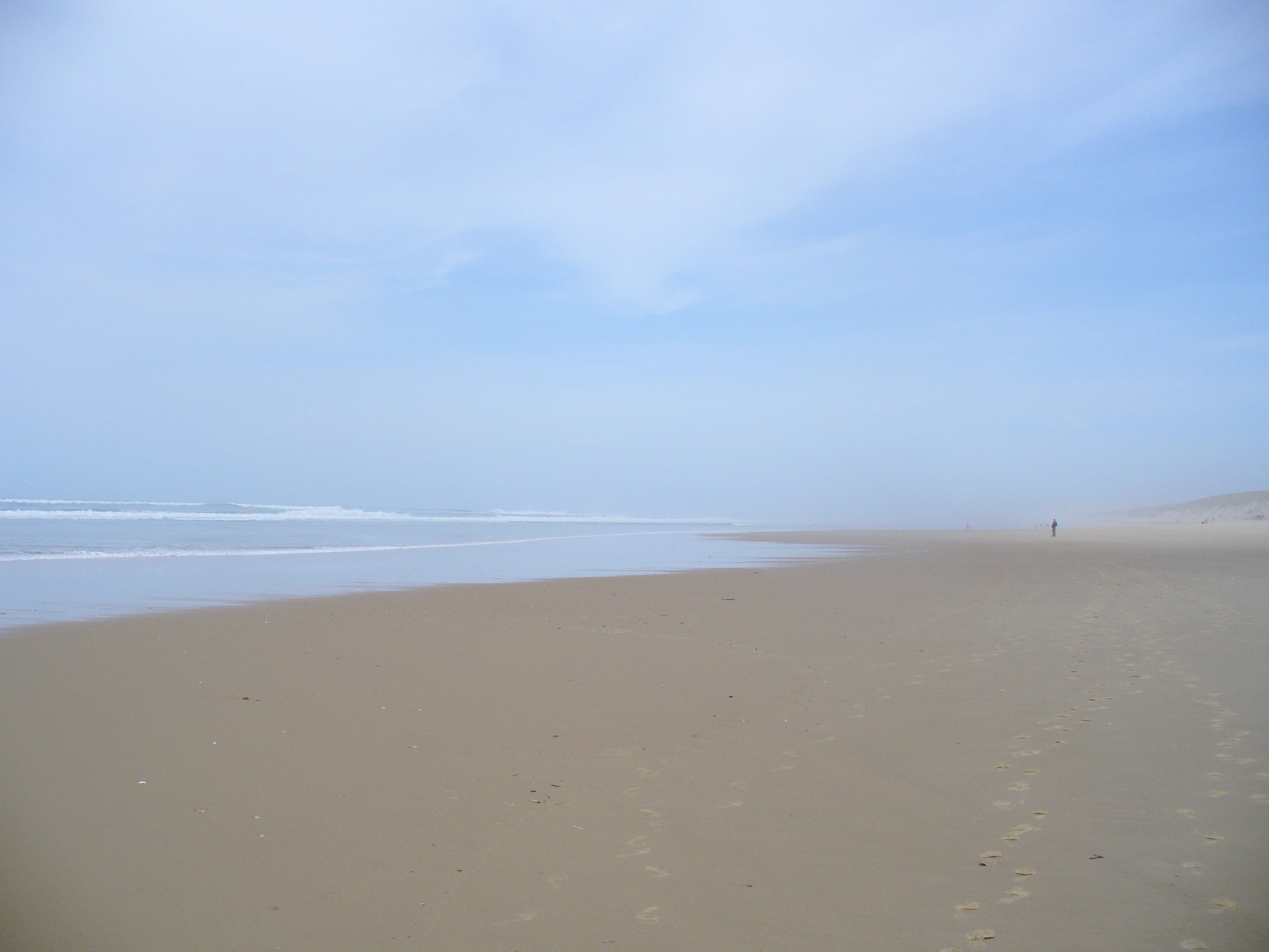 Panasonic DMC-LZ5 sample photo. P photography