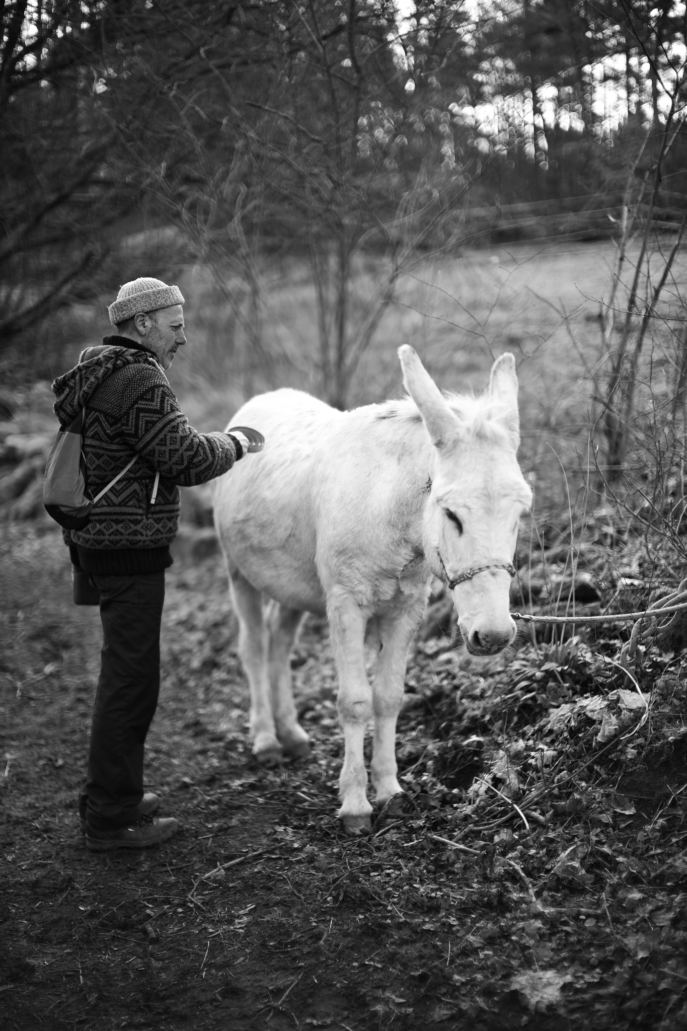 Leica Noctilux-M 50mm F0.95 ASPH sample photo. Carlo & toni photography