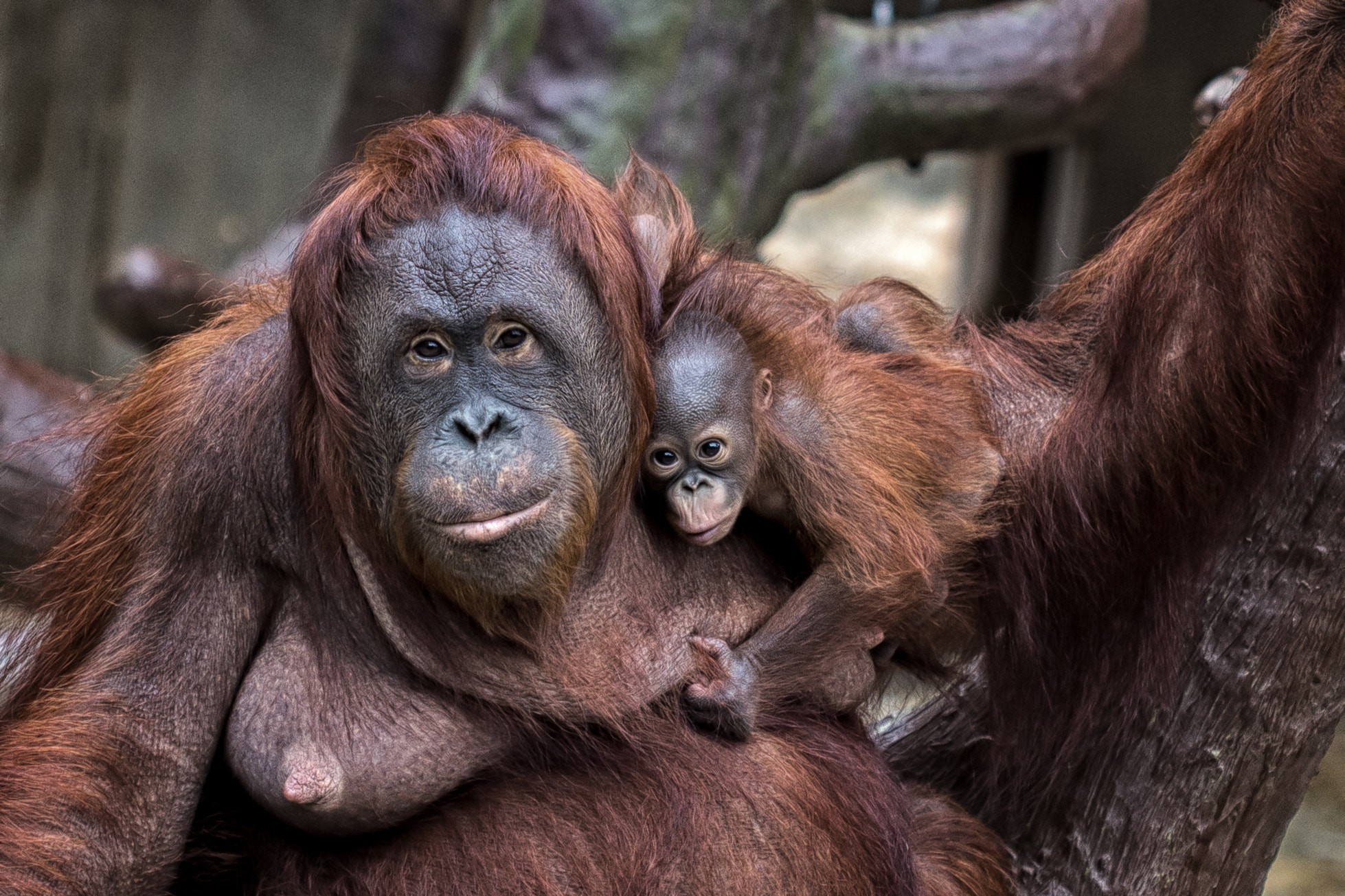 Canon EF 100mm F2.8 Macro USM sample photo. Mother and child photography