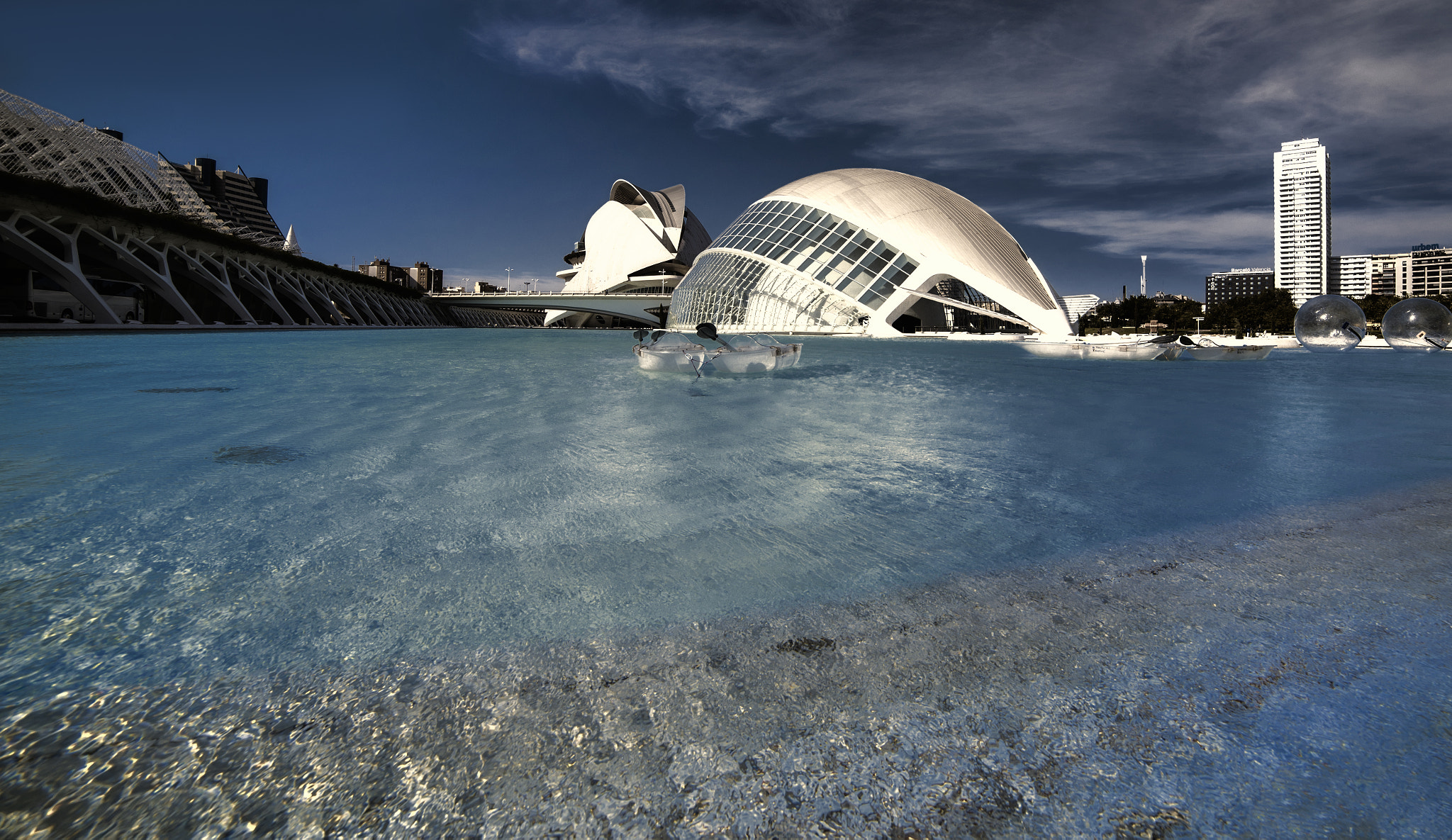 Samyang 14mm F2.8 ED AS IF UMC sample photo. Calatrava's fish photography