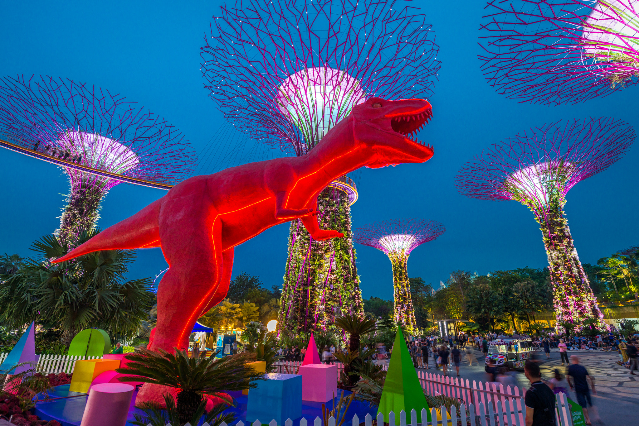 Nikon AF-S Nikkor 14-24mm F2.8G ED sample photo. The dye-nosaur gardens photography