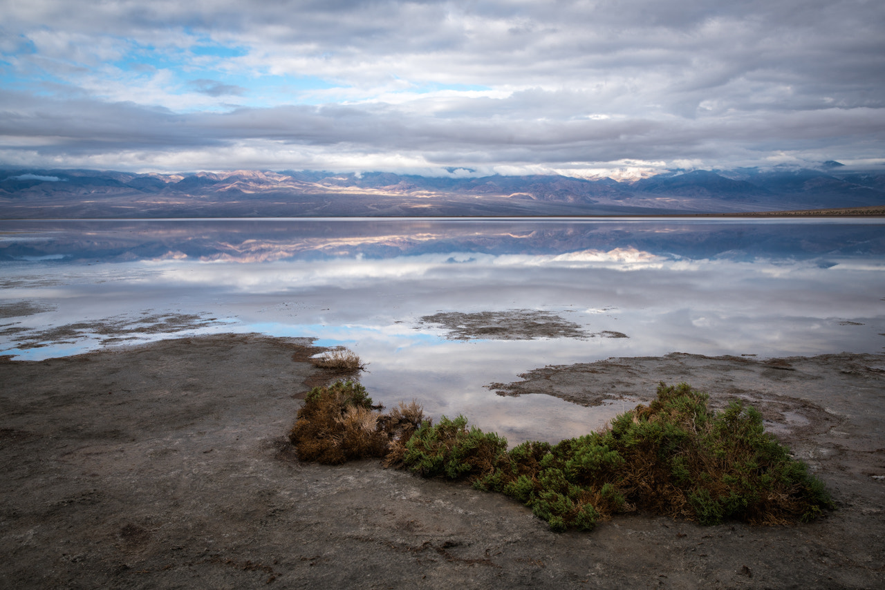 Canon EF 24-70mm F2.8L II USM sample photo. Watery world photography