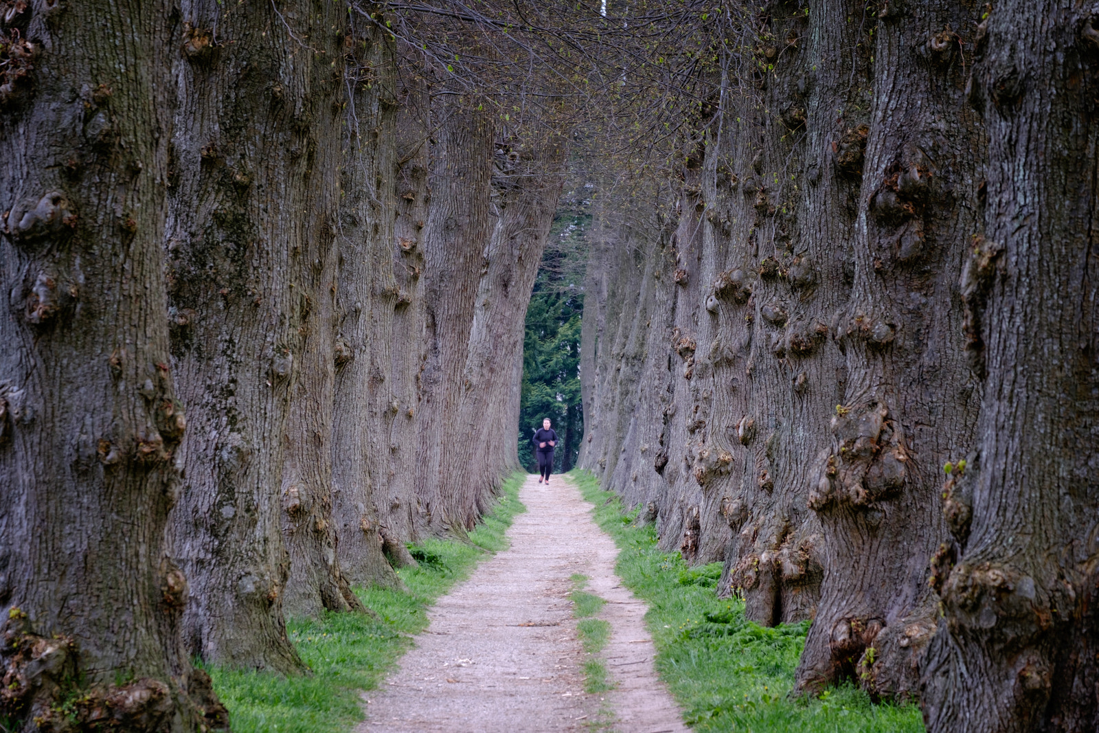 Fujifilm XF 55-200mm F3.5-4.8 R LM OIS sample photo. Morning run photography