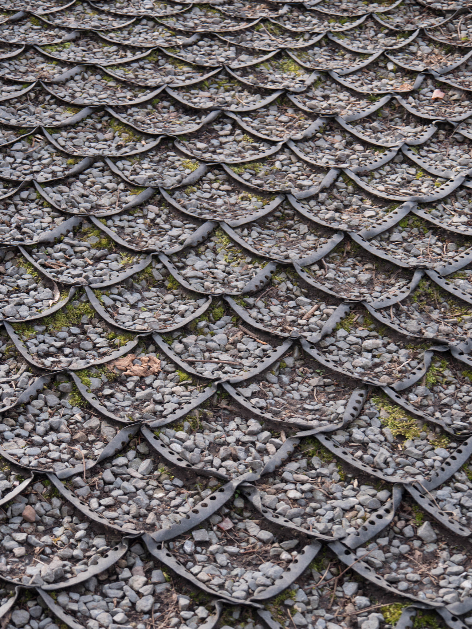 Panasonic Lumix DMC-GX8 sample photo. -1703_edinurgh botanics071071.jpg photography