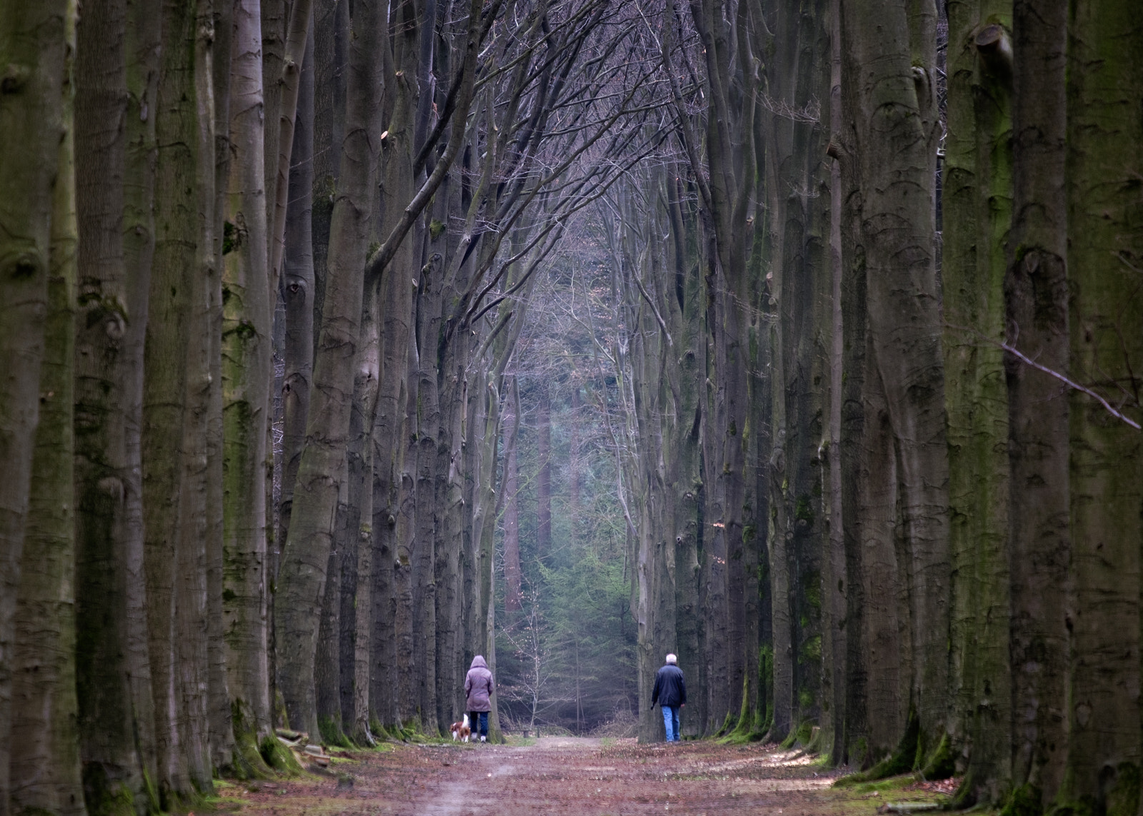 Fujifilm XF 55-200mm F3.5-4.8 R LM OIS sample photo. Morning walk photography