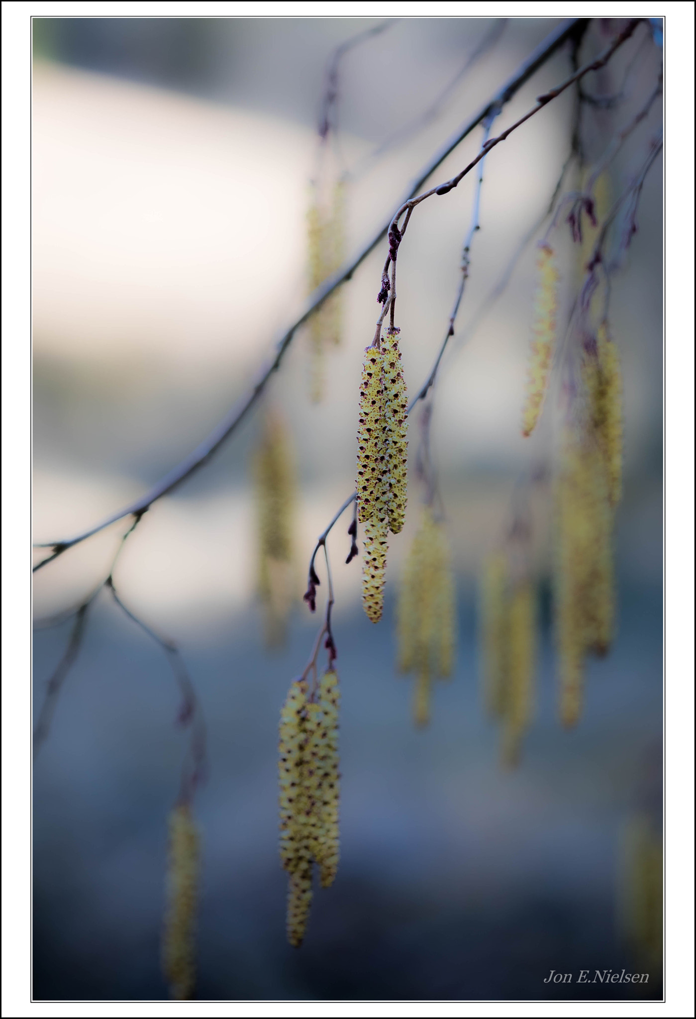 Canon EF 100mm F2.8 Macro USM sample photo. " spring " photography