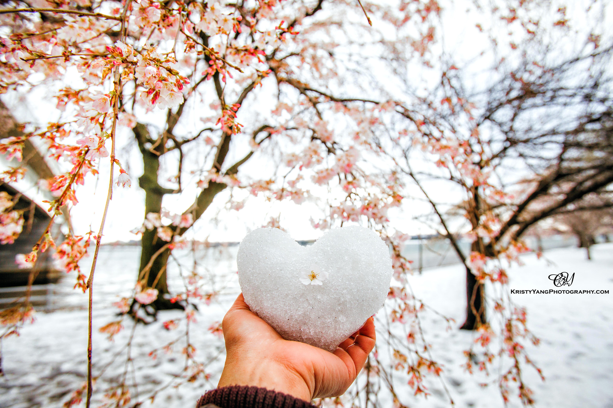 Canon EOS 5D Mark IV + Canon EF 16-35mm F2.8L USM sample photo. Sending warmth in cold photography