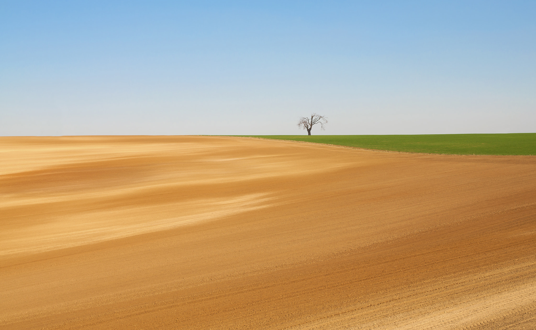 Nikon D90 + Sigma 18-50mm F2.8 EX DC Macro sample photo. Field photography